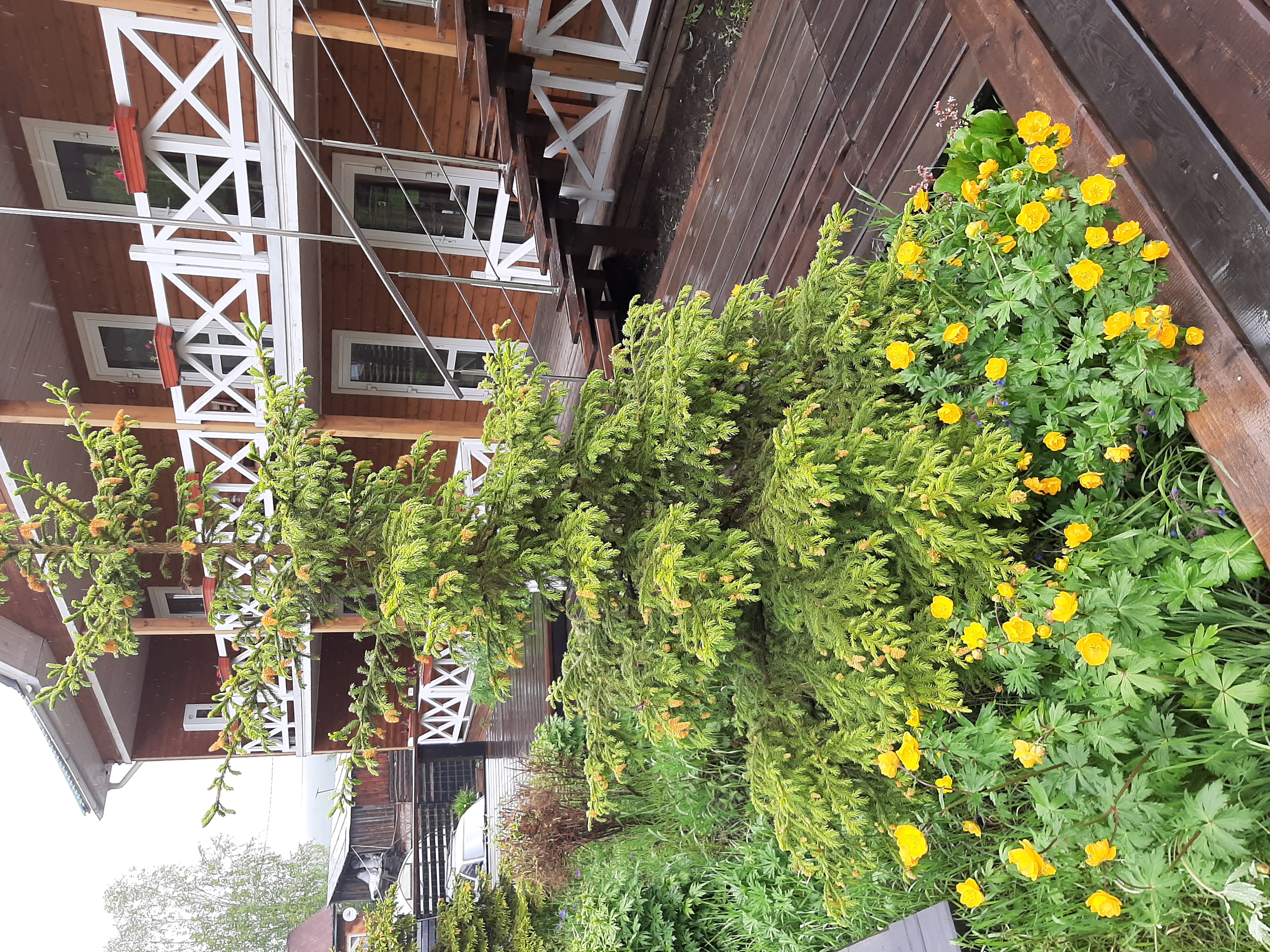 Фото Крестовая падь