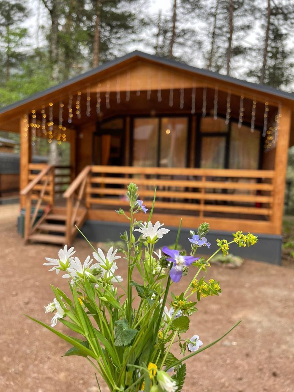 Фото King House Arkhyz