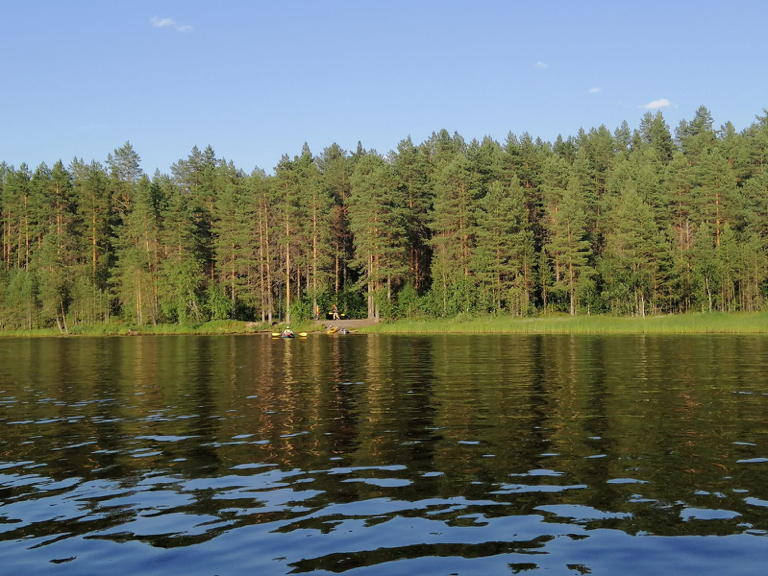 Фото Поляна