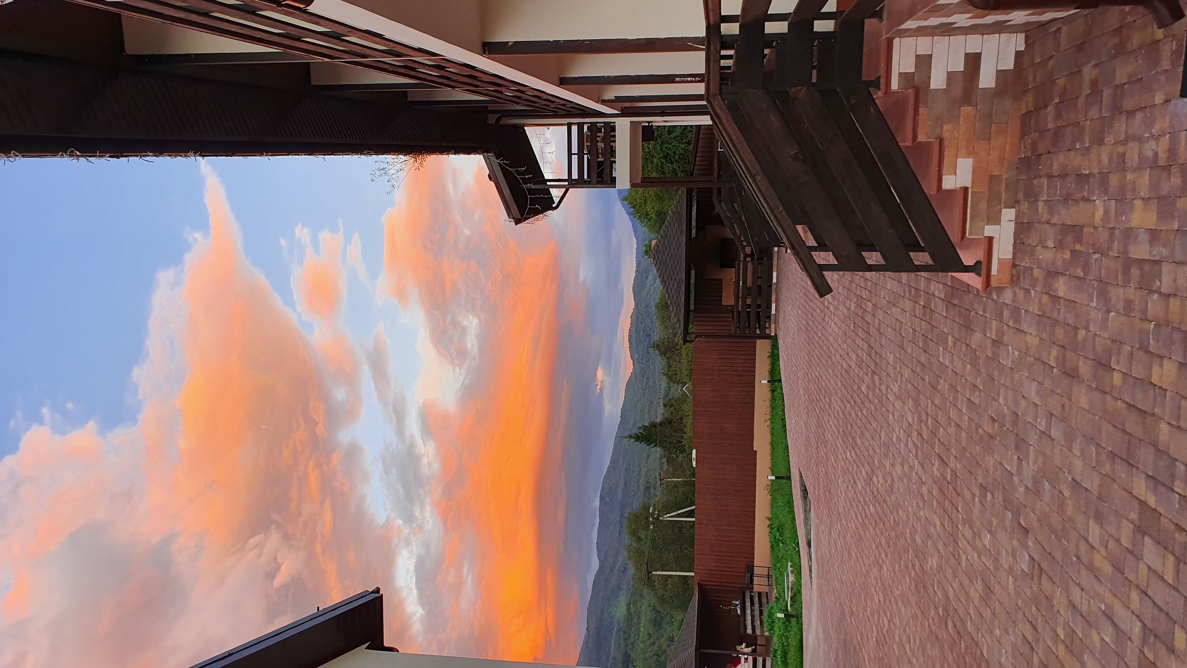 Фото АльтаРио