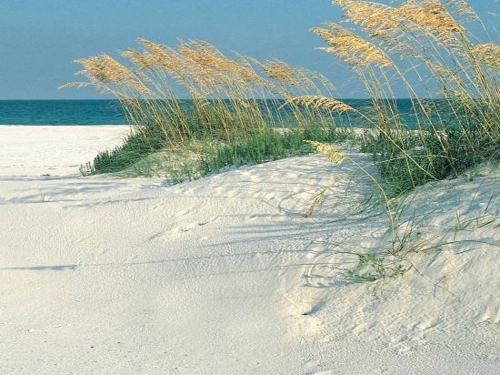 Фото SpringHill Suites Pensacola