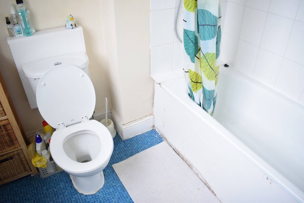 Фото Lovely Victorian Flat for 6 in Stoke Newington