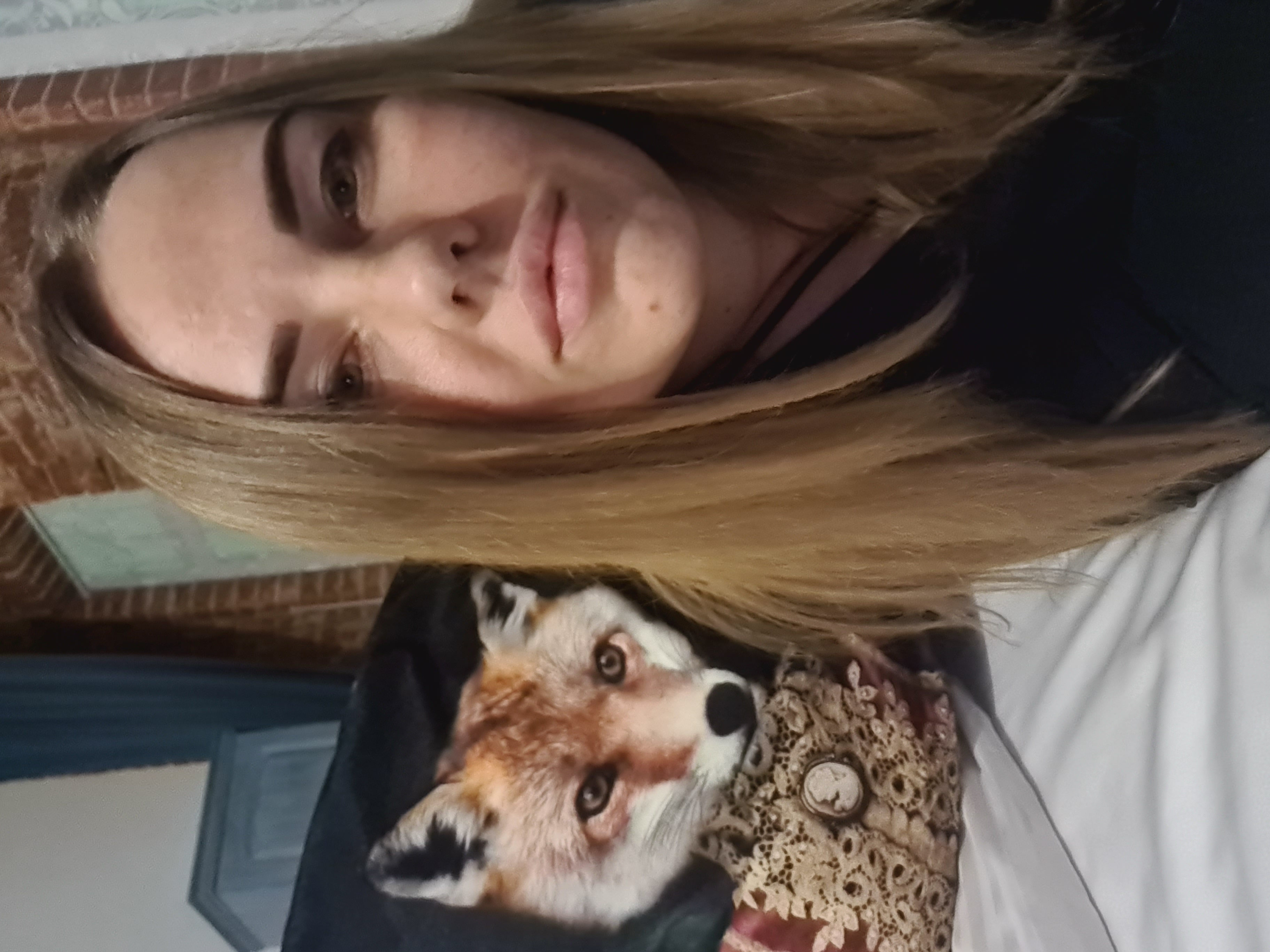 Фото Green place