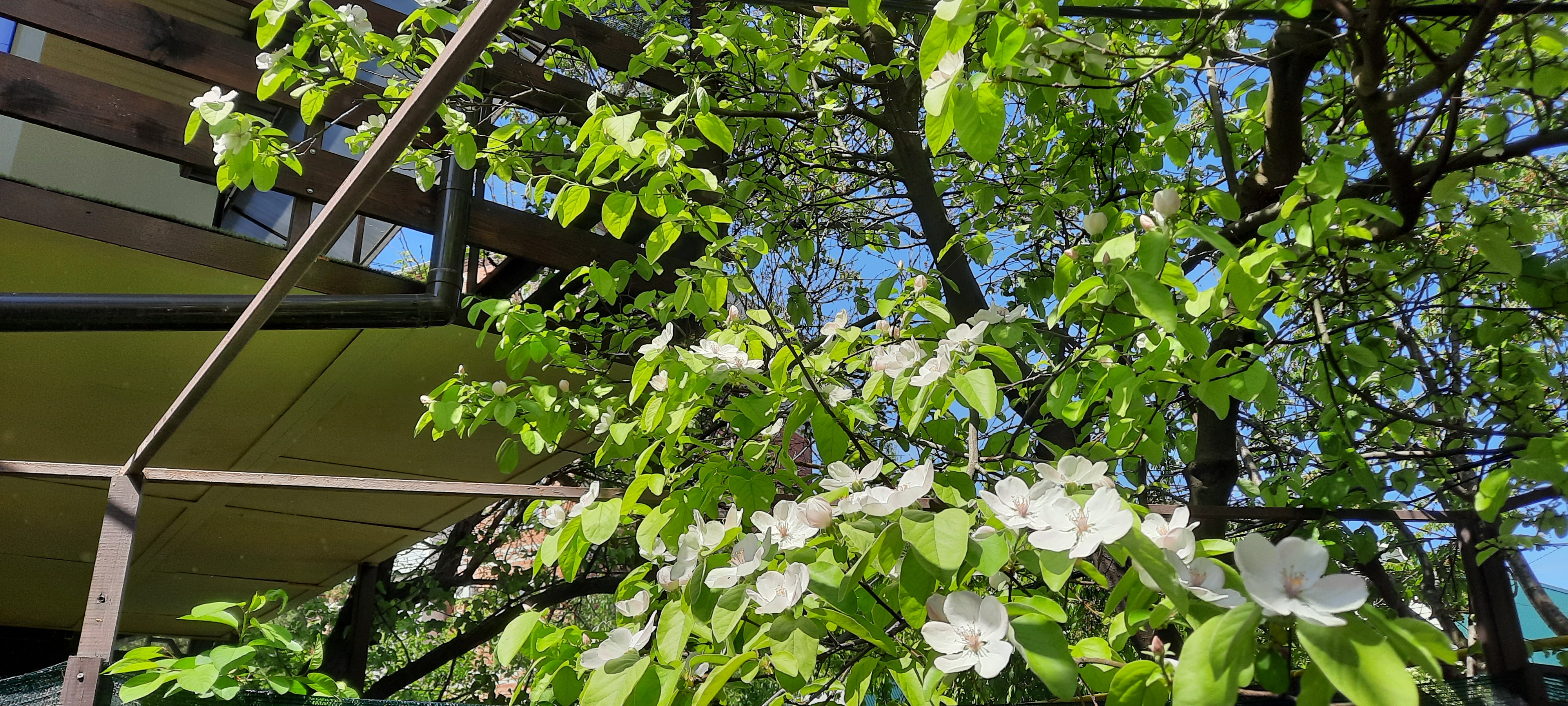 Фото Гостевой дом на Горького