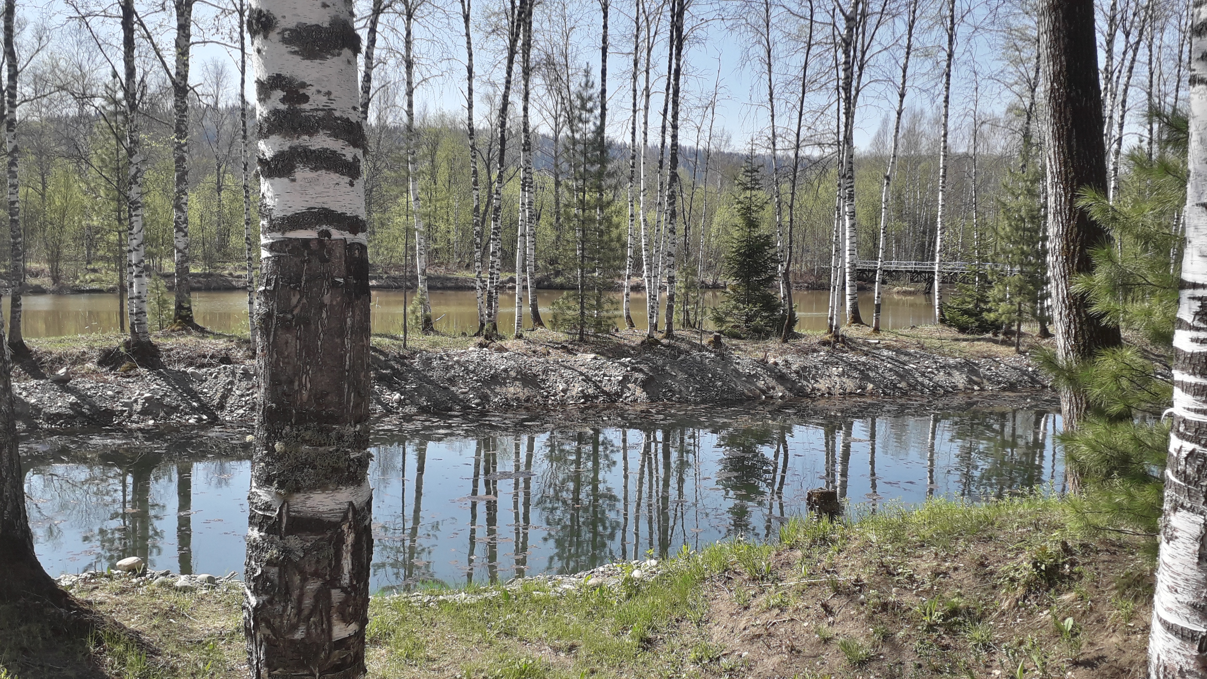 Фото Фантазия