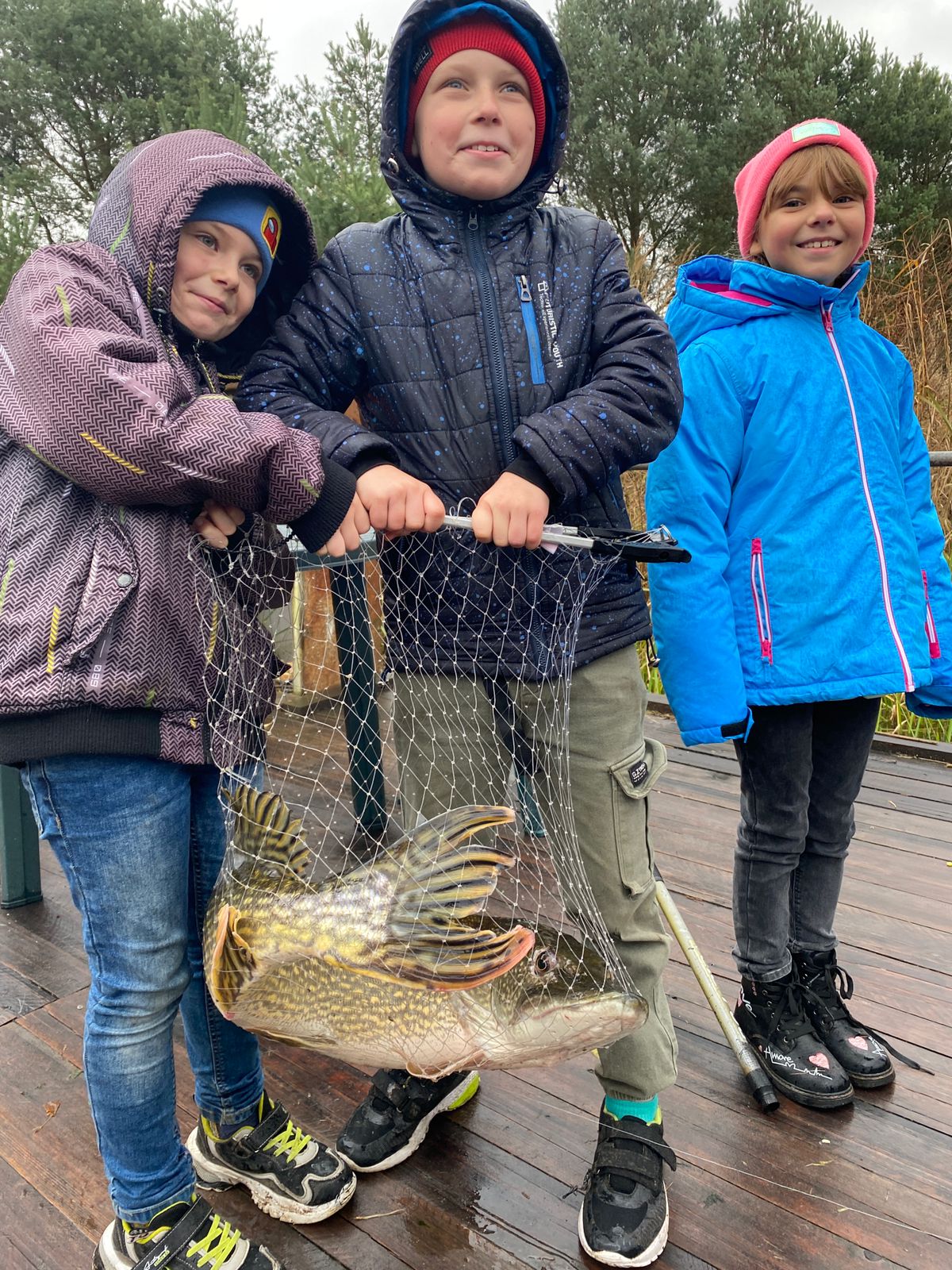 Фото Липовый Парк