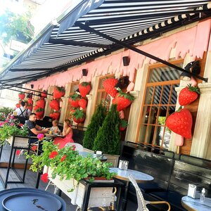 «Гаврош» фото 1