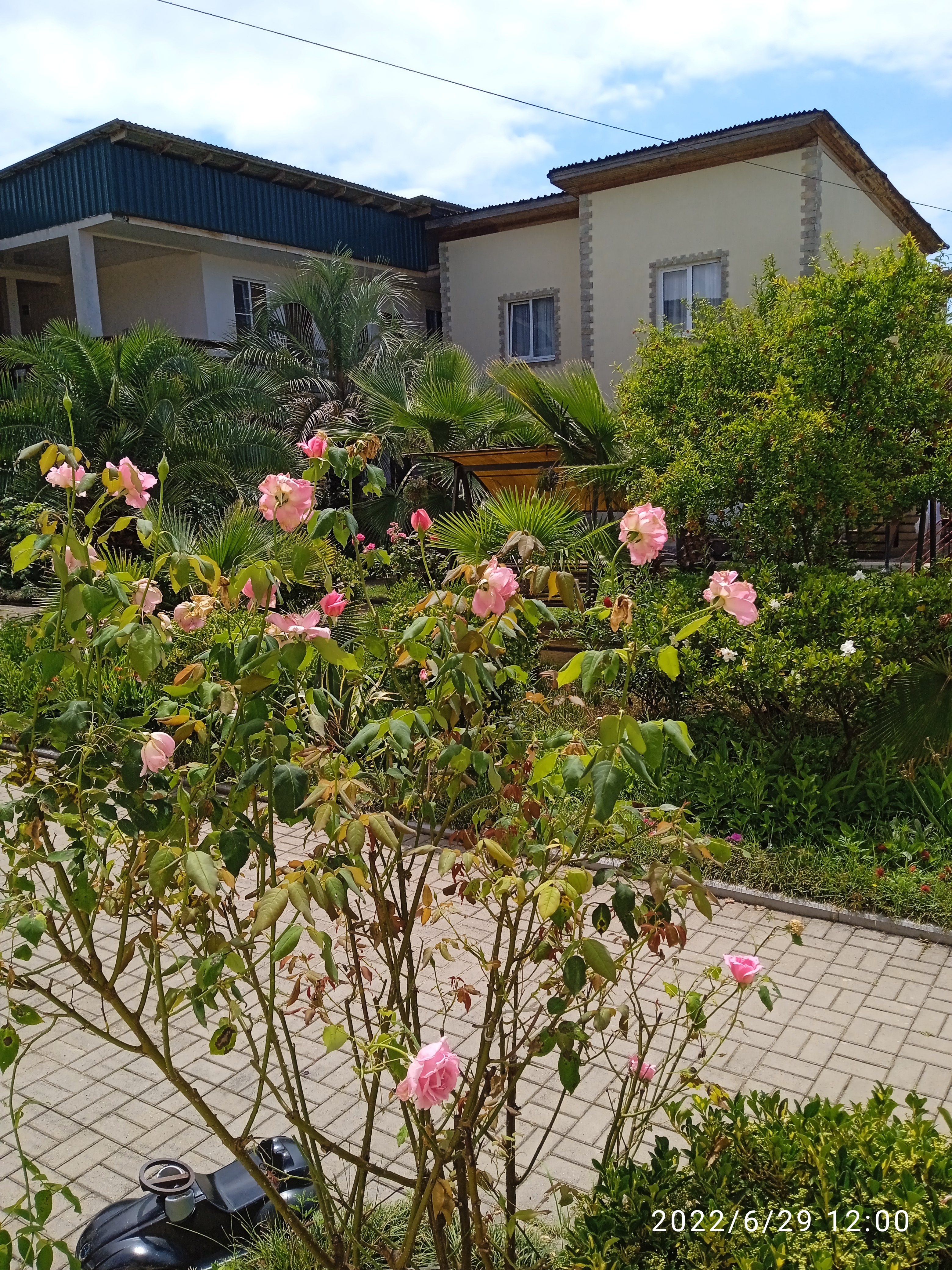 Фото Дени Дельмар