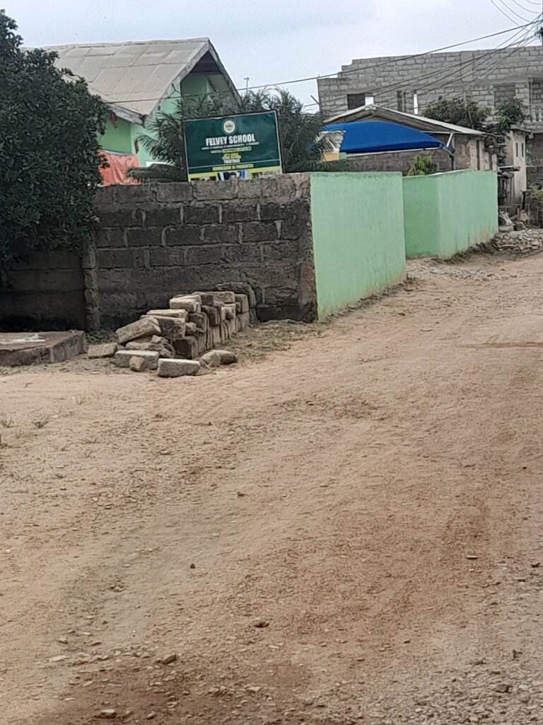 School Felvey School, Earth, photo