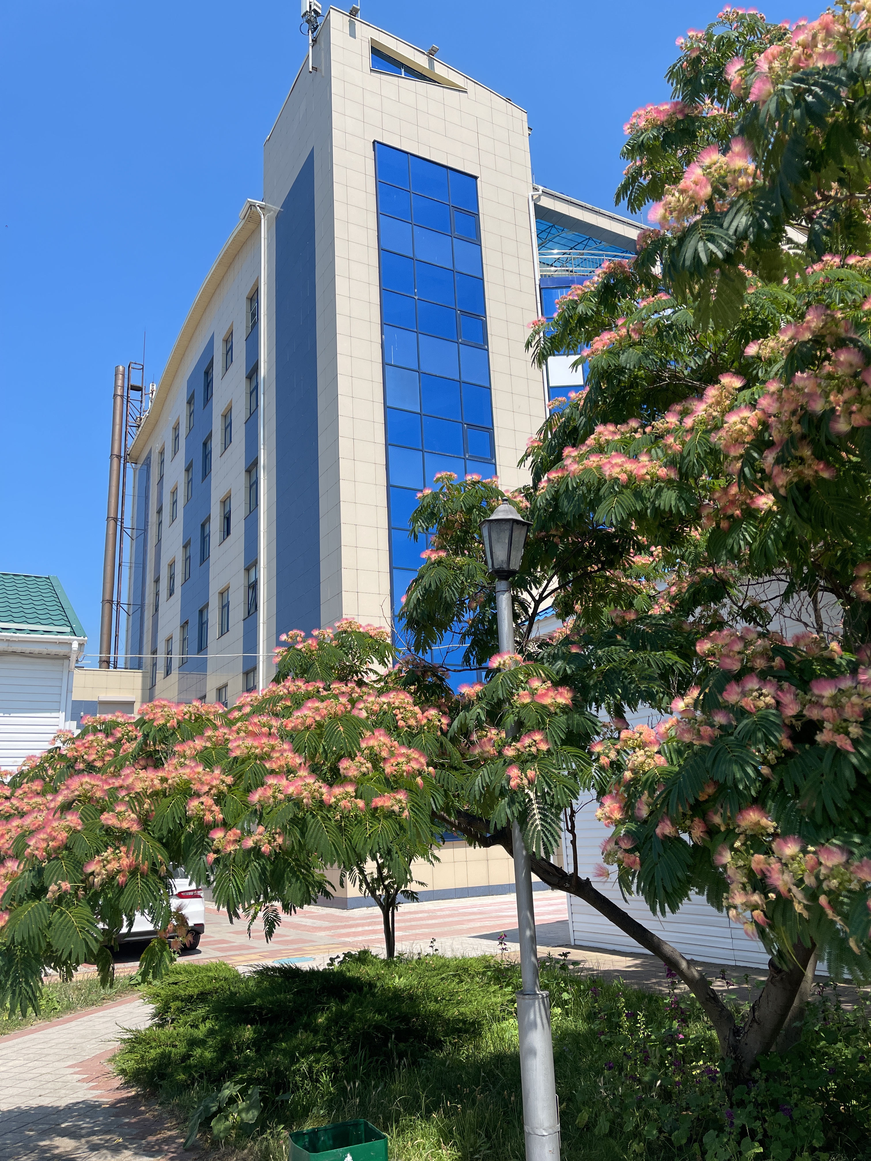 Фото Малахит