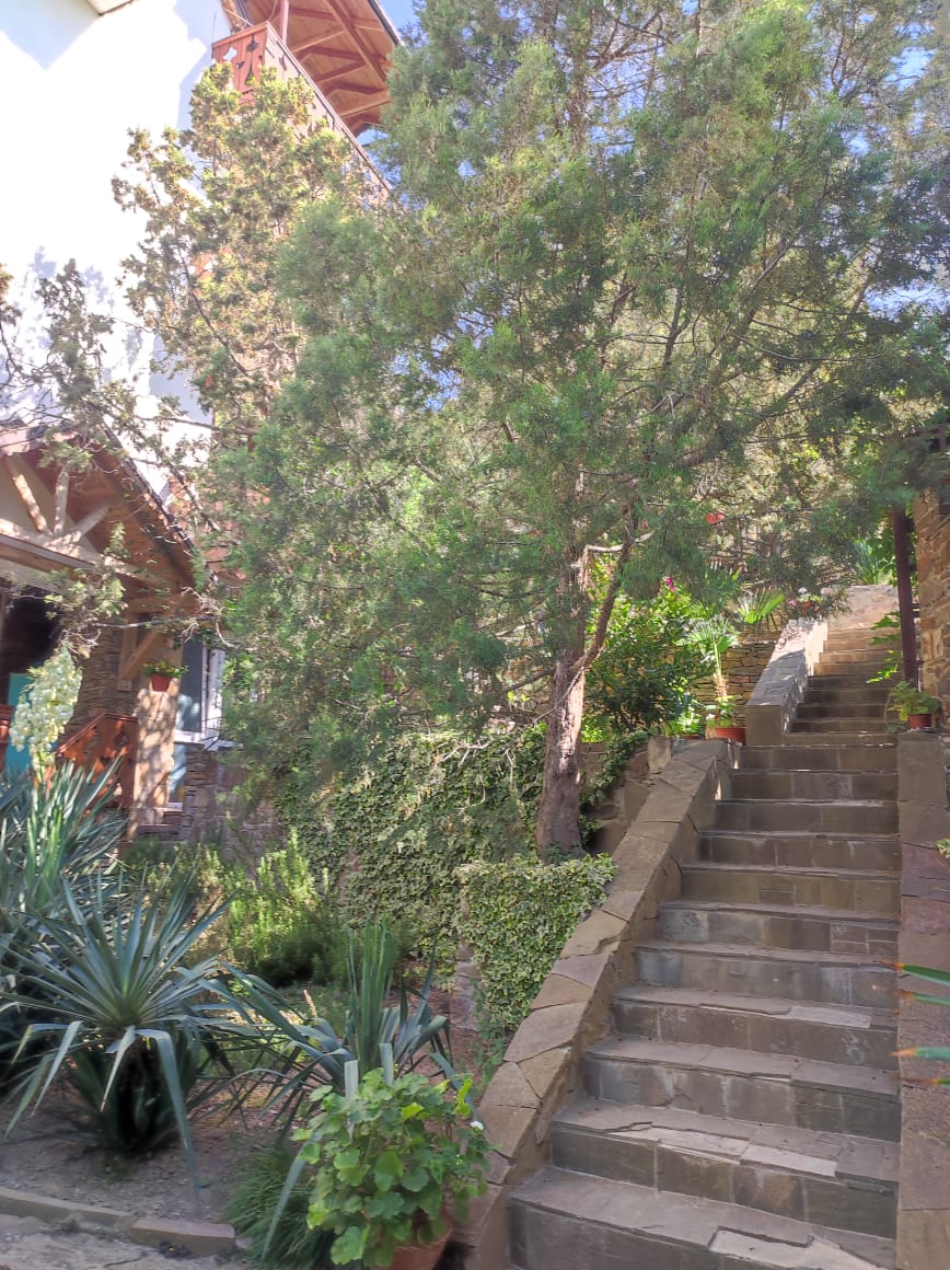 Фото Шаляпин Хаус