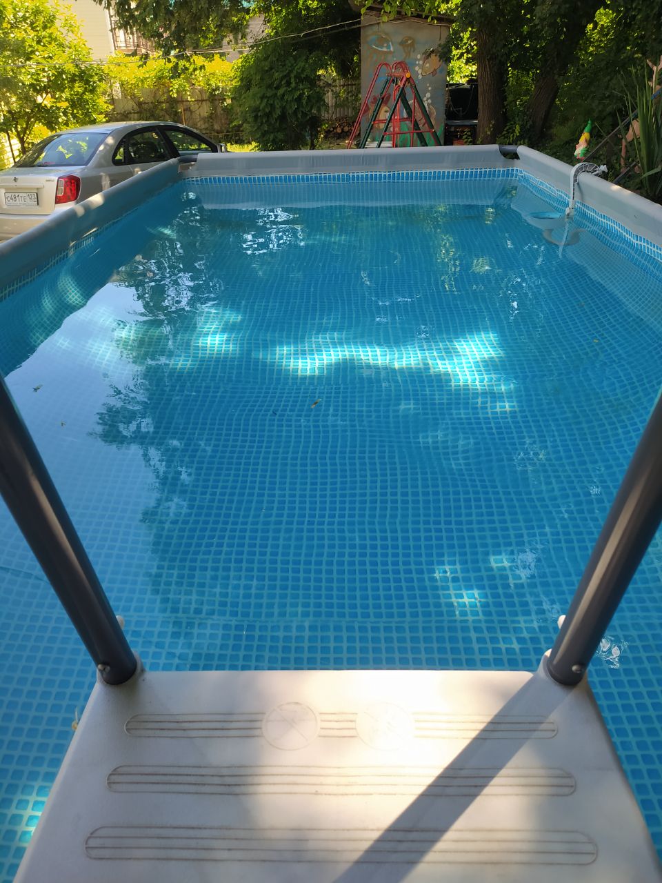 Фото Черноморская лоза