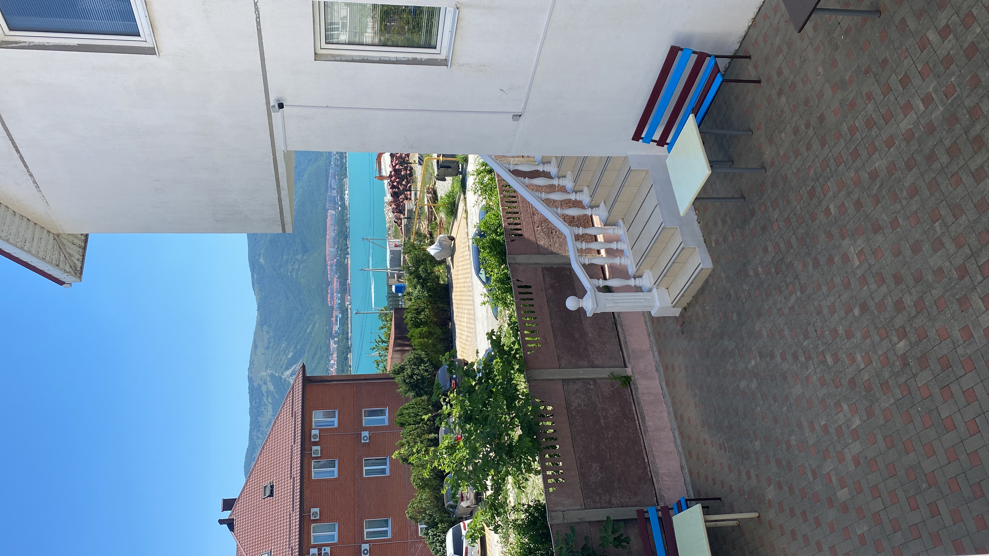 Фото Яблоко