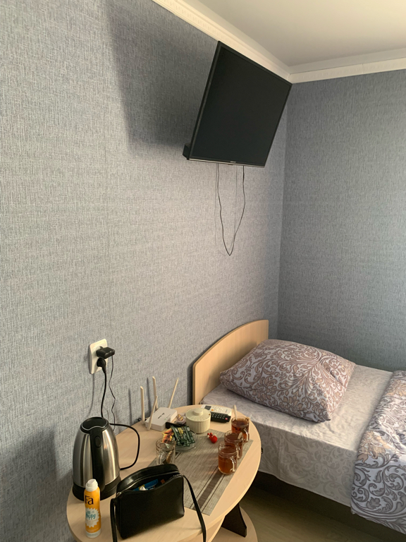 Фото Березка