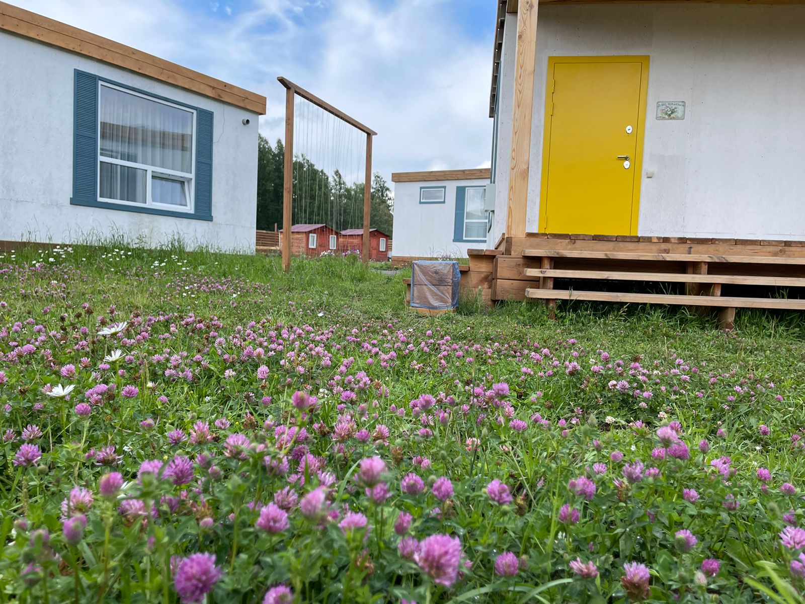 Фото Зависть