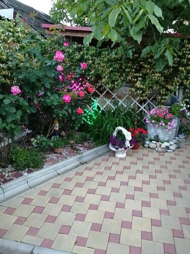 Апартаменты Уютный дом в Ейске