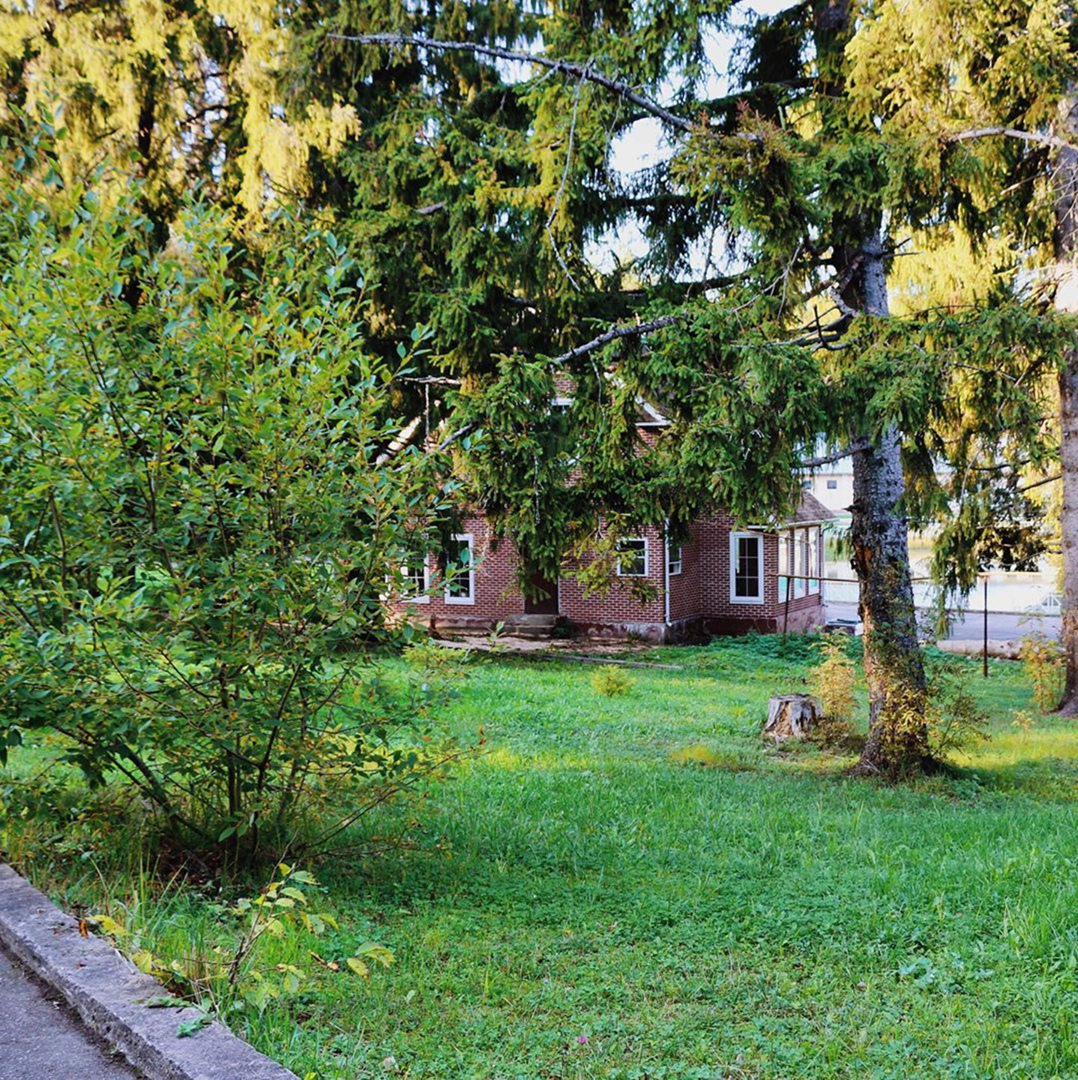 Фото Лесная сказка