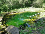 Spring, stream (Lipetsk Region, Yeletskiy rayon, Nizhnevorgolskiy selsovet, selo Nizhniy Vorgol), manantial, arroyo