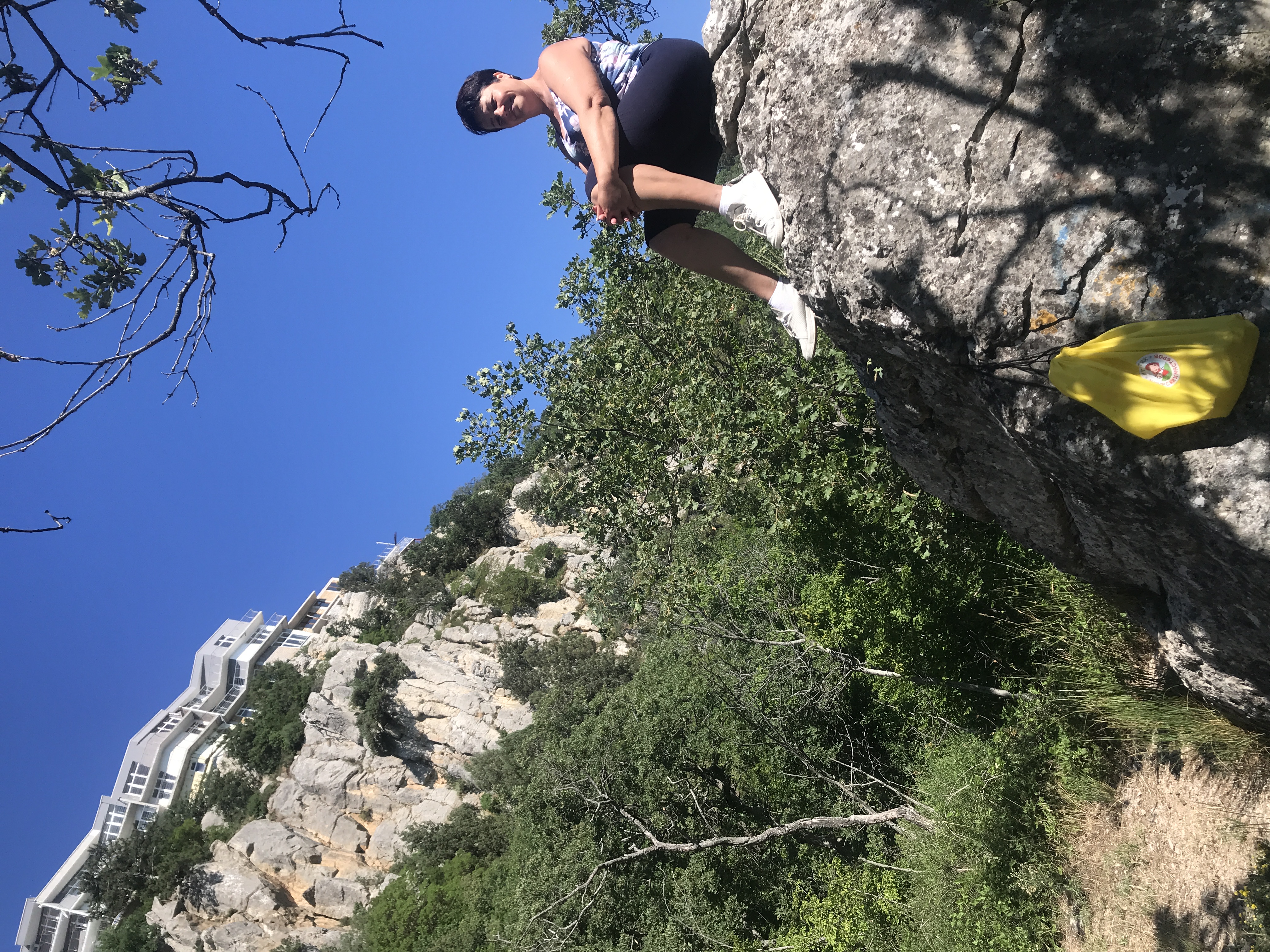 Фото Лесные дворики