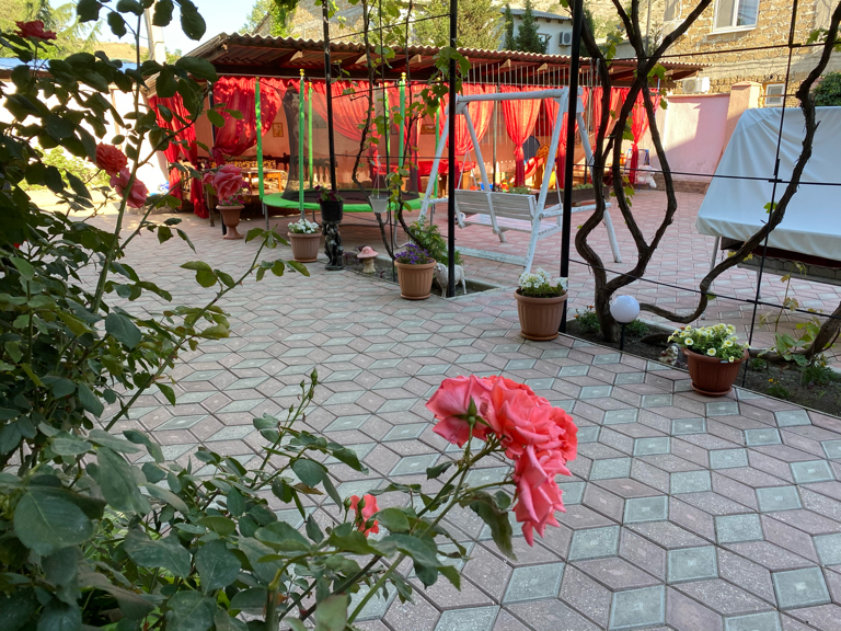 Фото Deniz Company