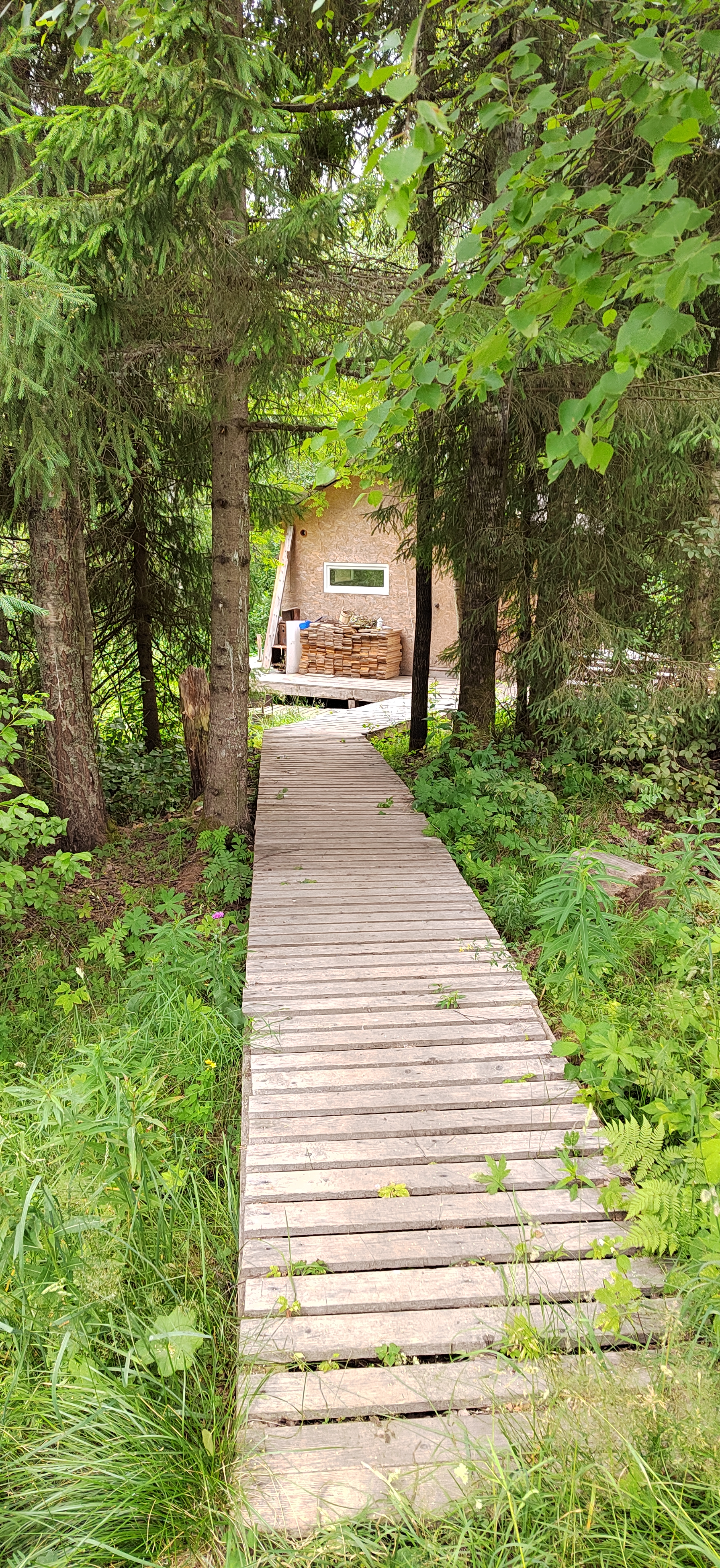 Фото Фортуна