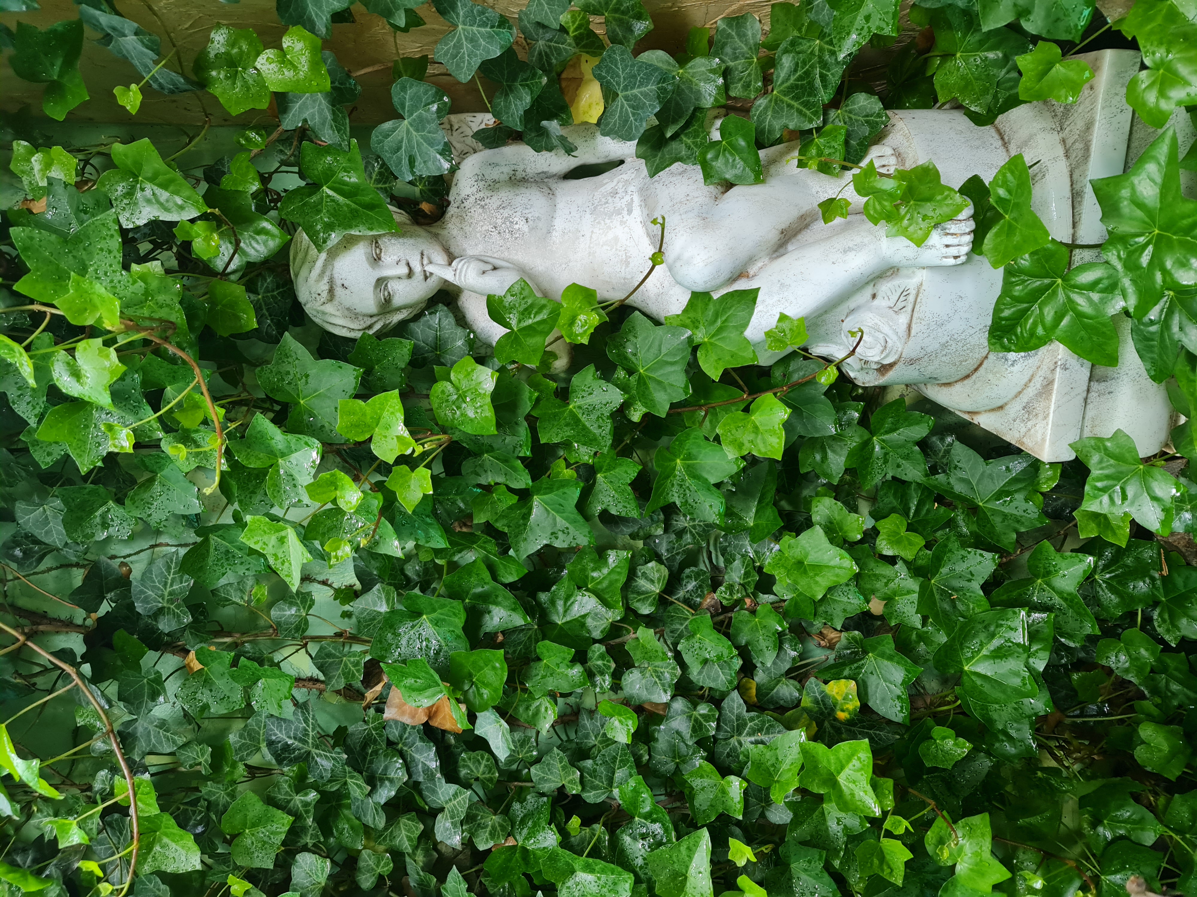 Фото Волшебный дворик