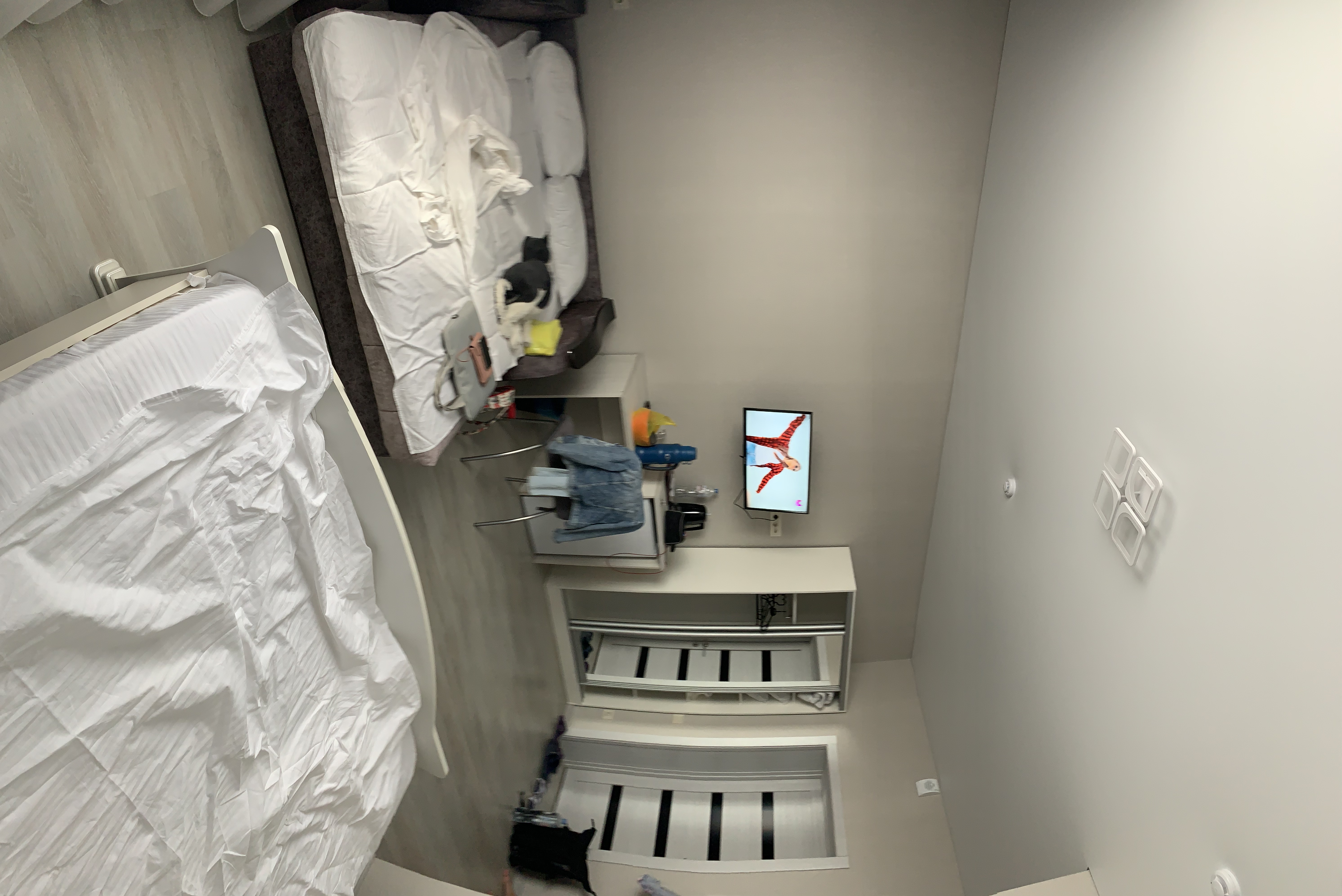 Фото ДиНастия