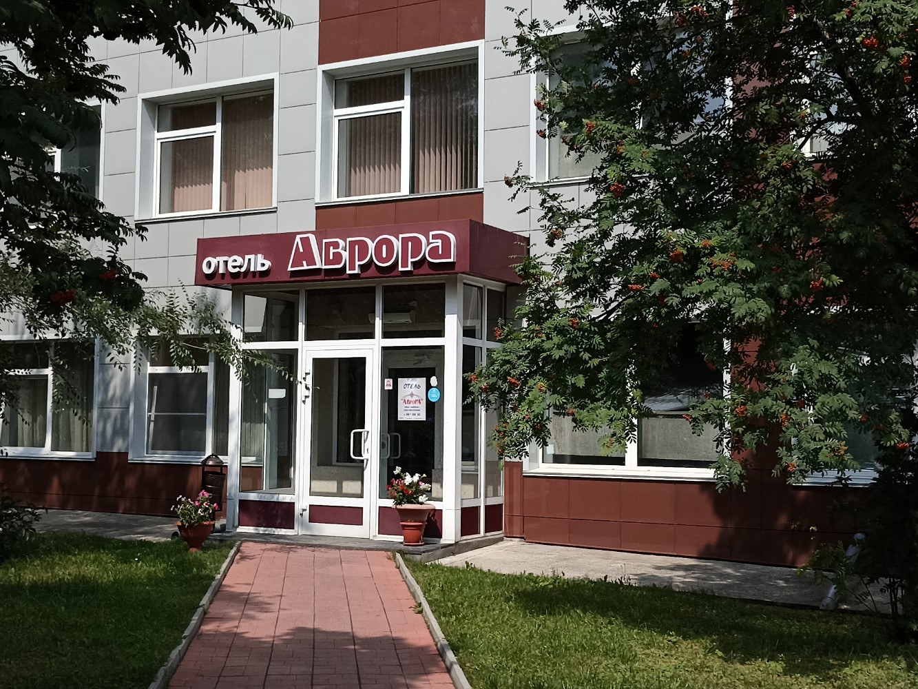 Фото Аврора