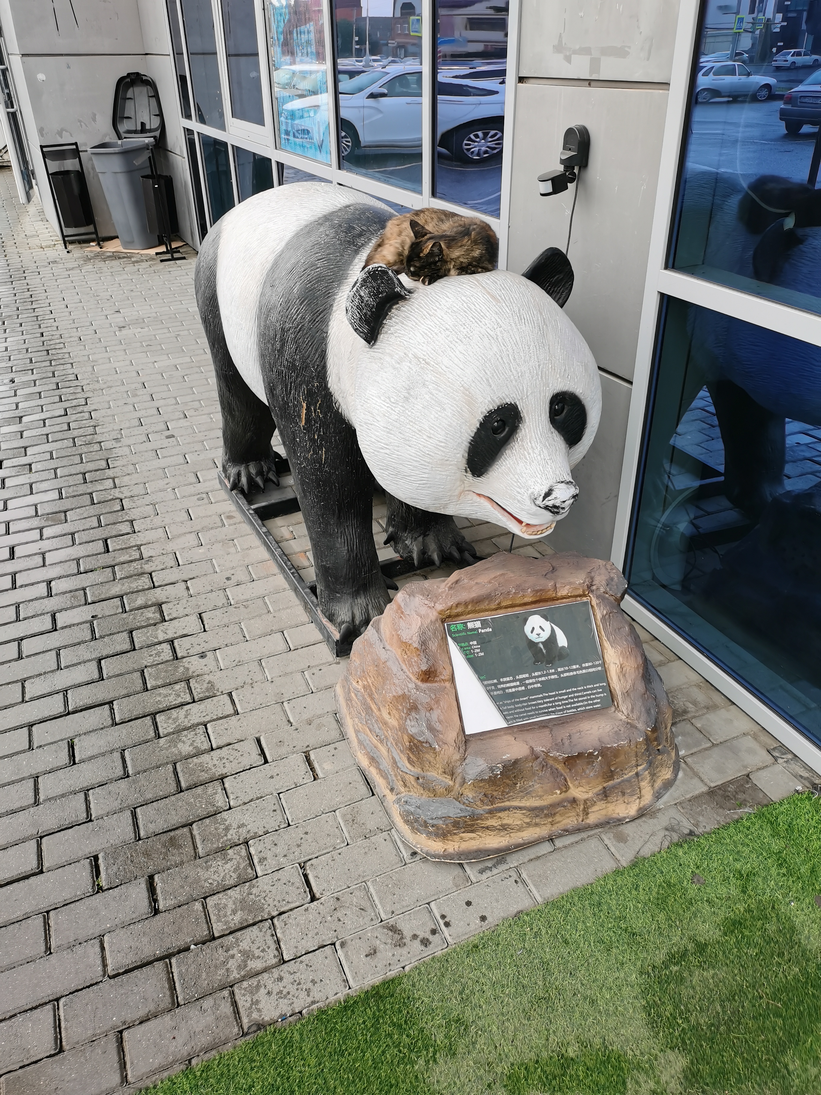 Фото Городок