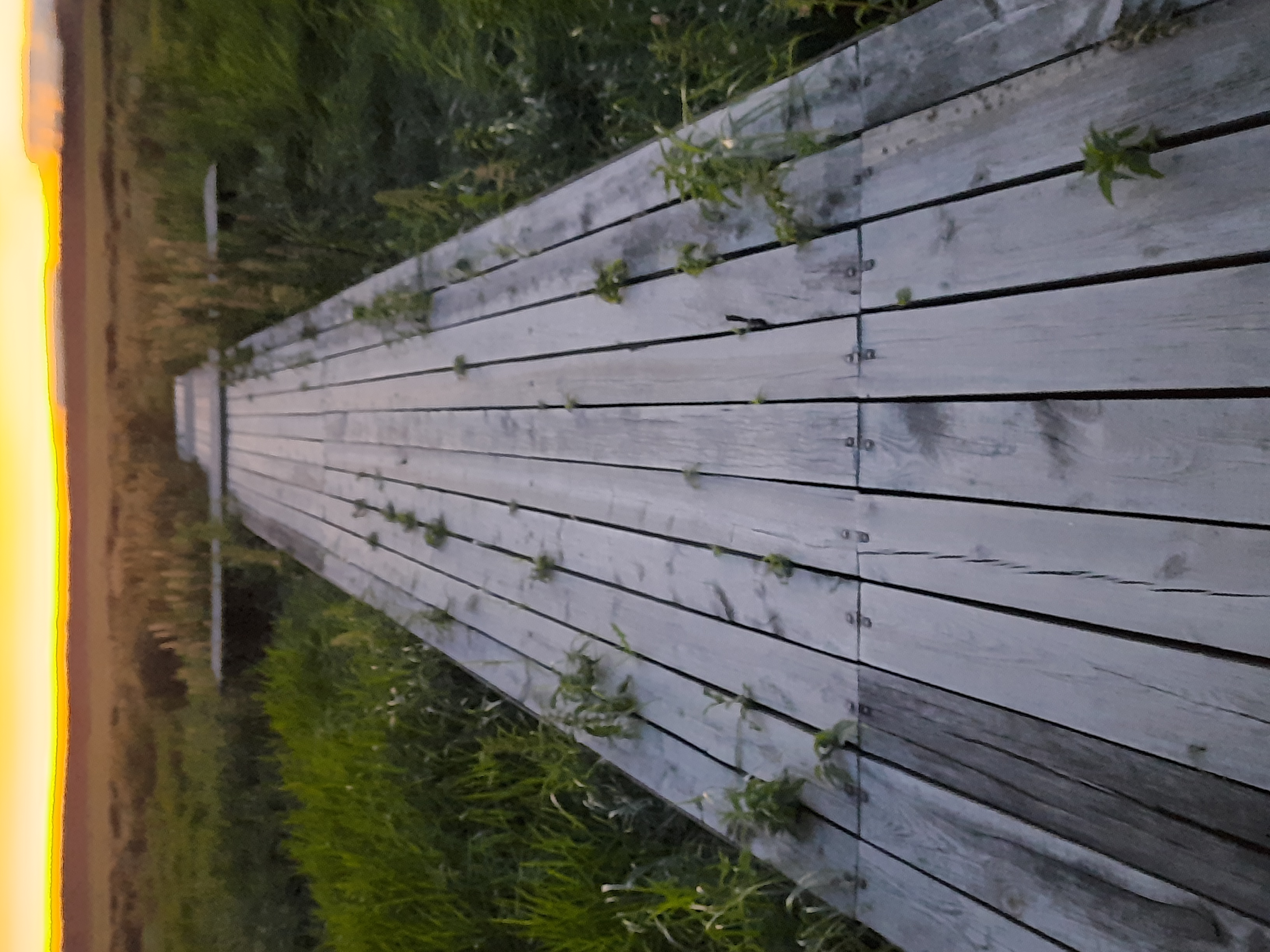 Фото Тихие зори