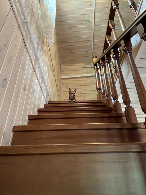 Фото Хутор Увильды