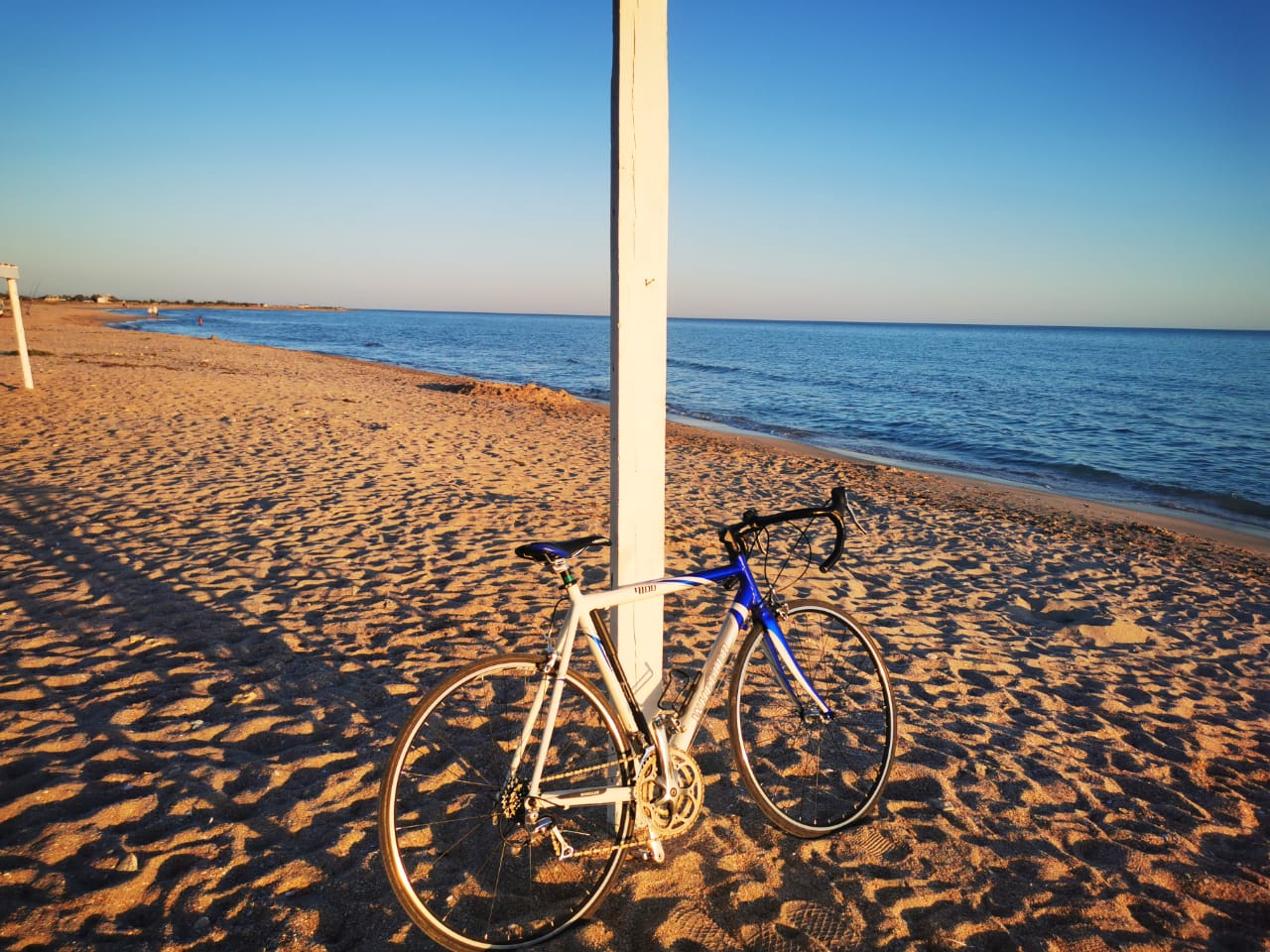 Фото Лонисера