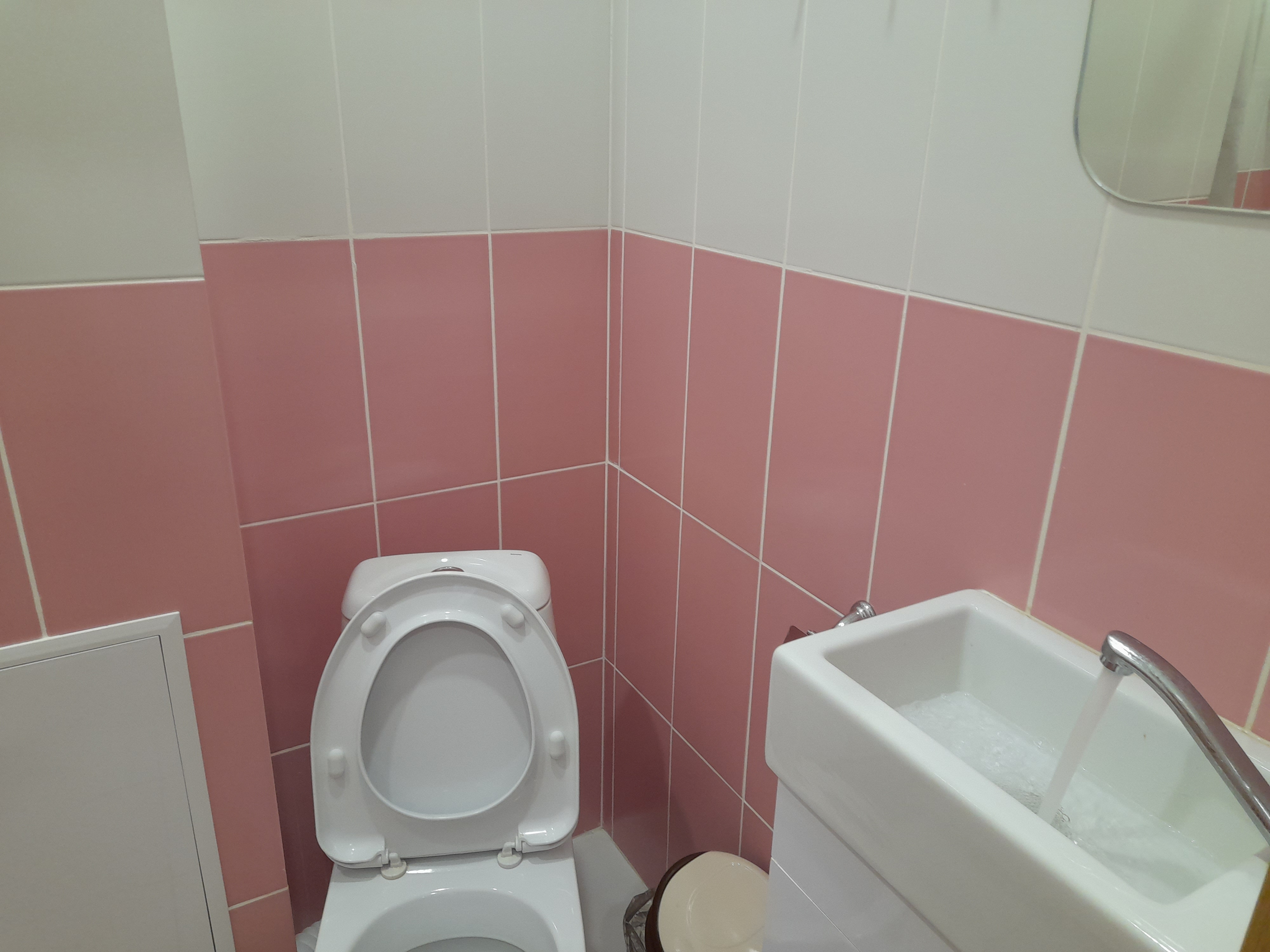 Фото Циркон