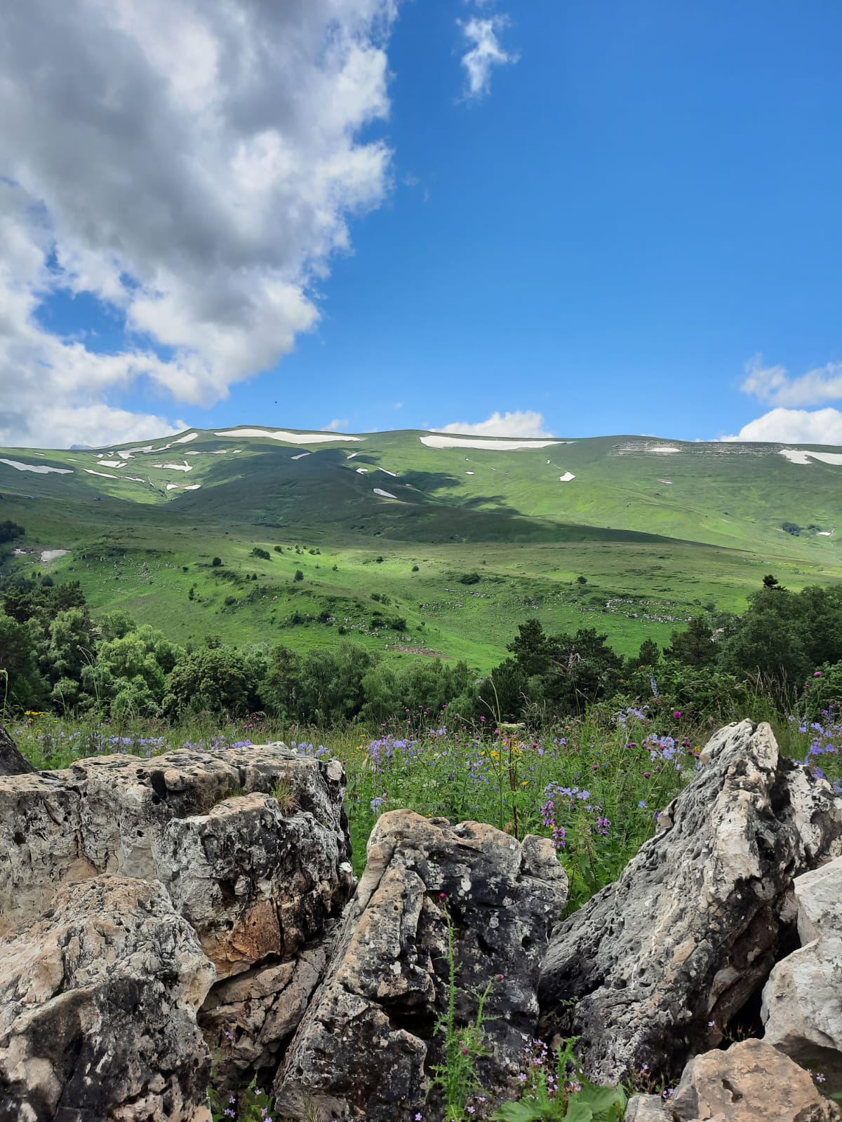 Фото Денница