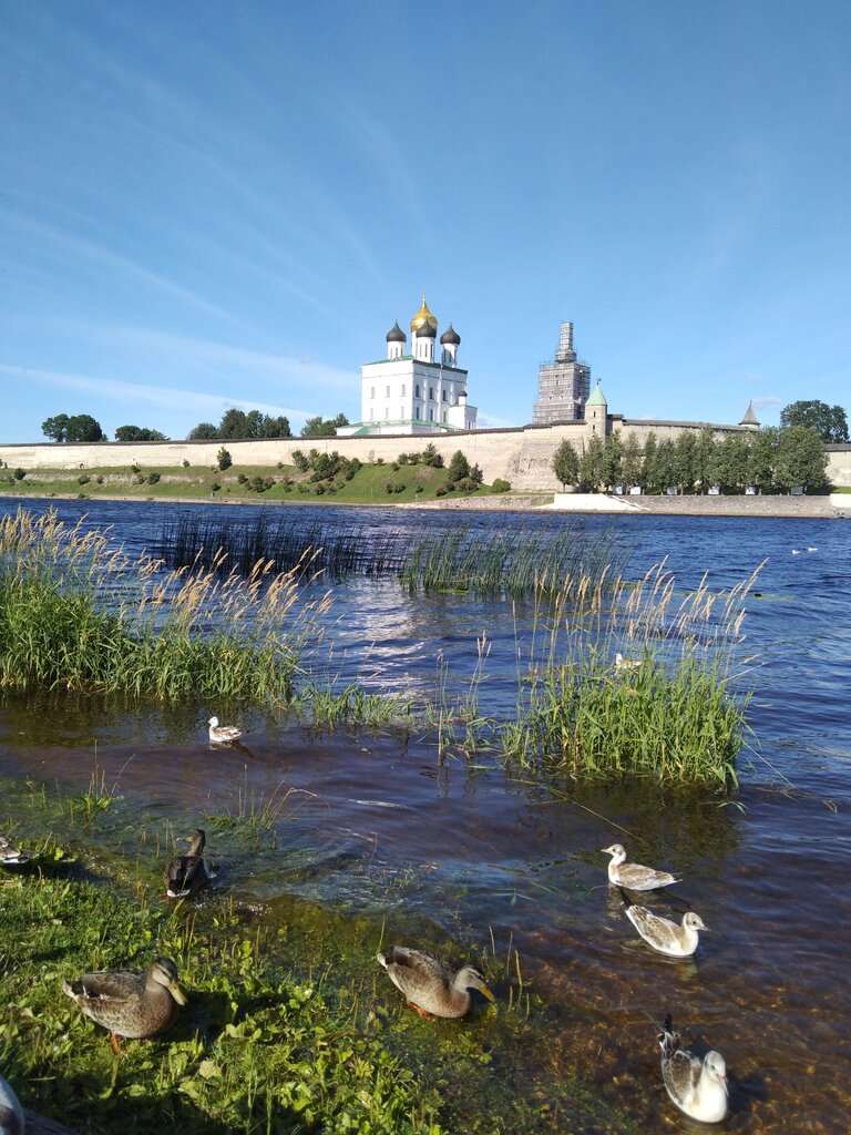 Hotel Hotel 903, Pskov, photo