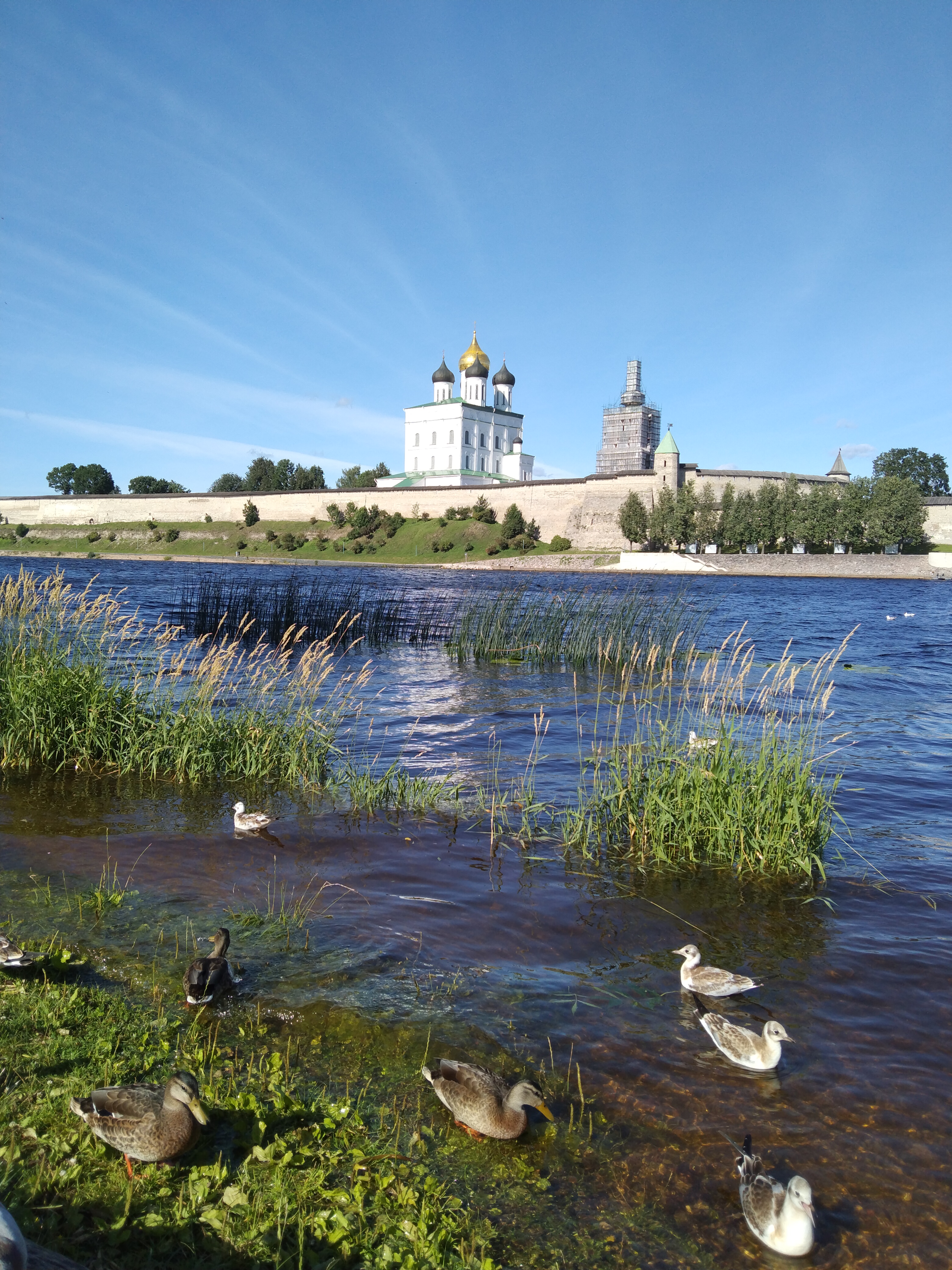 Фото Гостиница 903