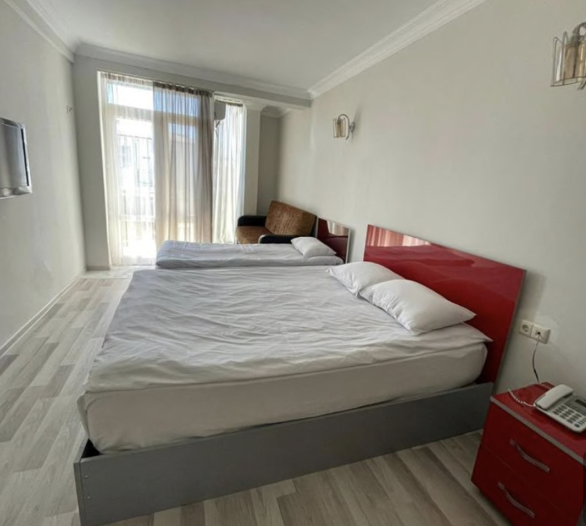 Фото Дельфин