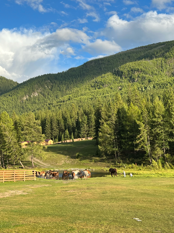 Фото Барнхаус Акташ