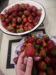 Ягодное (Krasnoufimskaya ulitsa, 44) ، مركز الحديقة