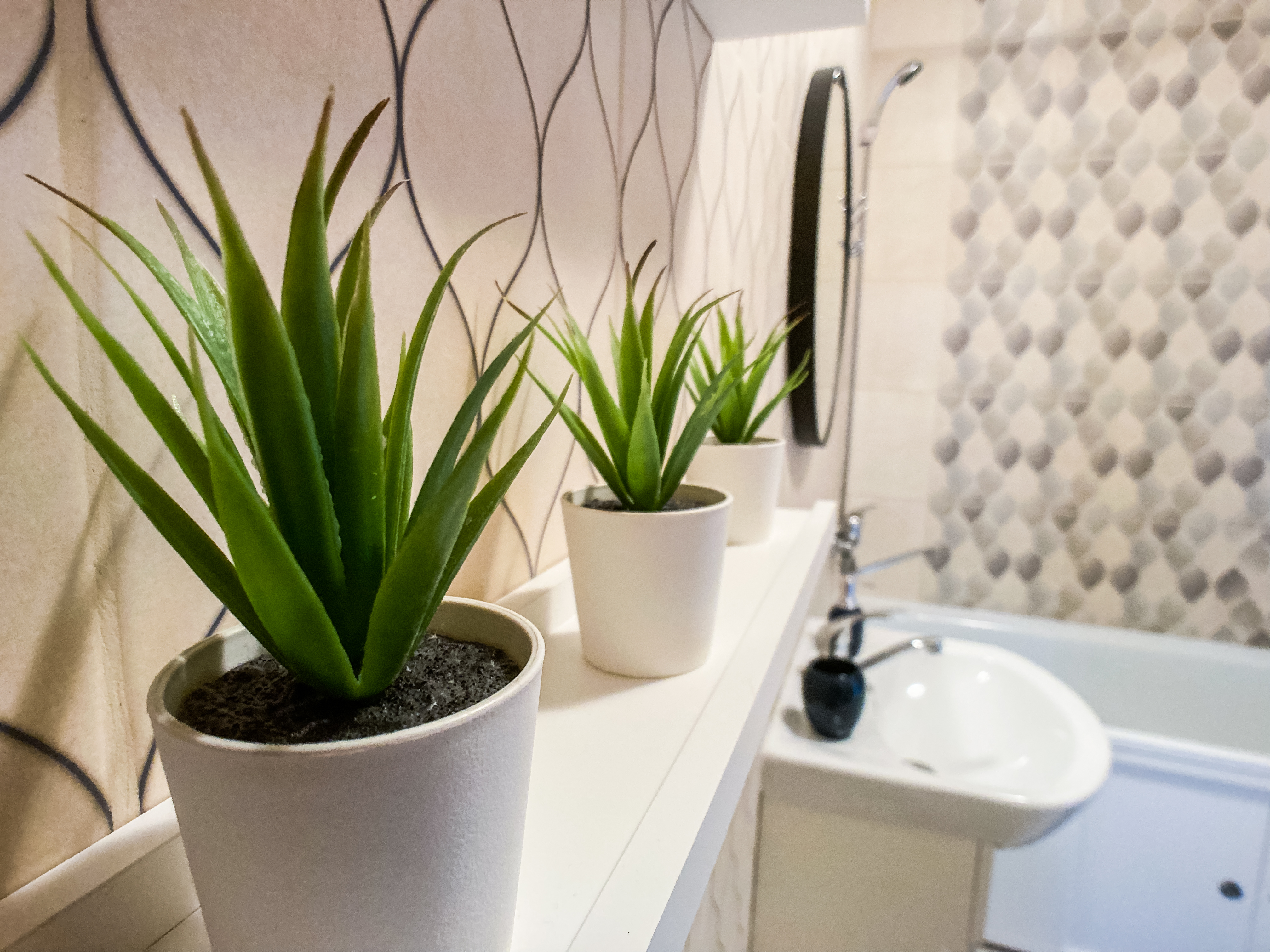 Фото Апарт 59