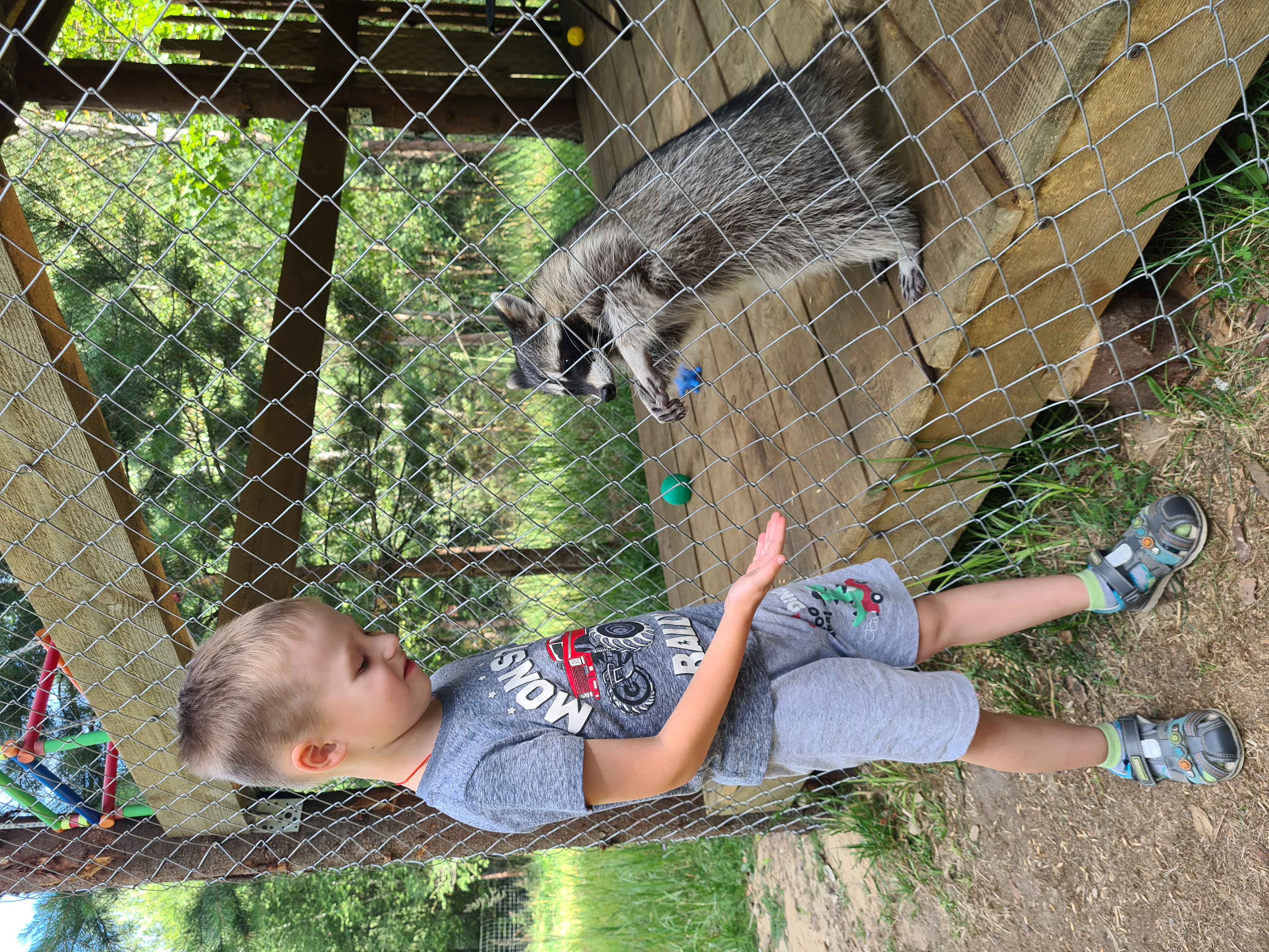 Фото Дикое подворье