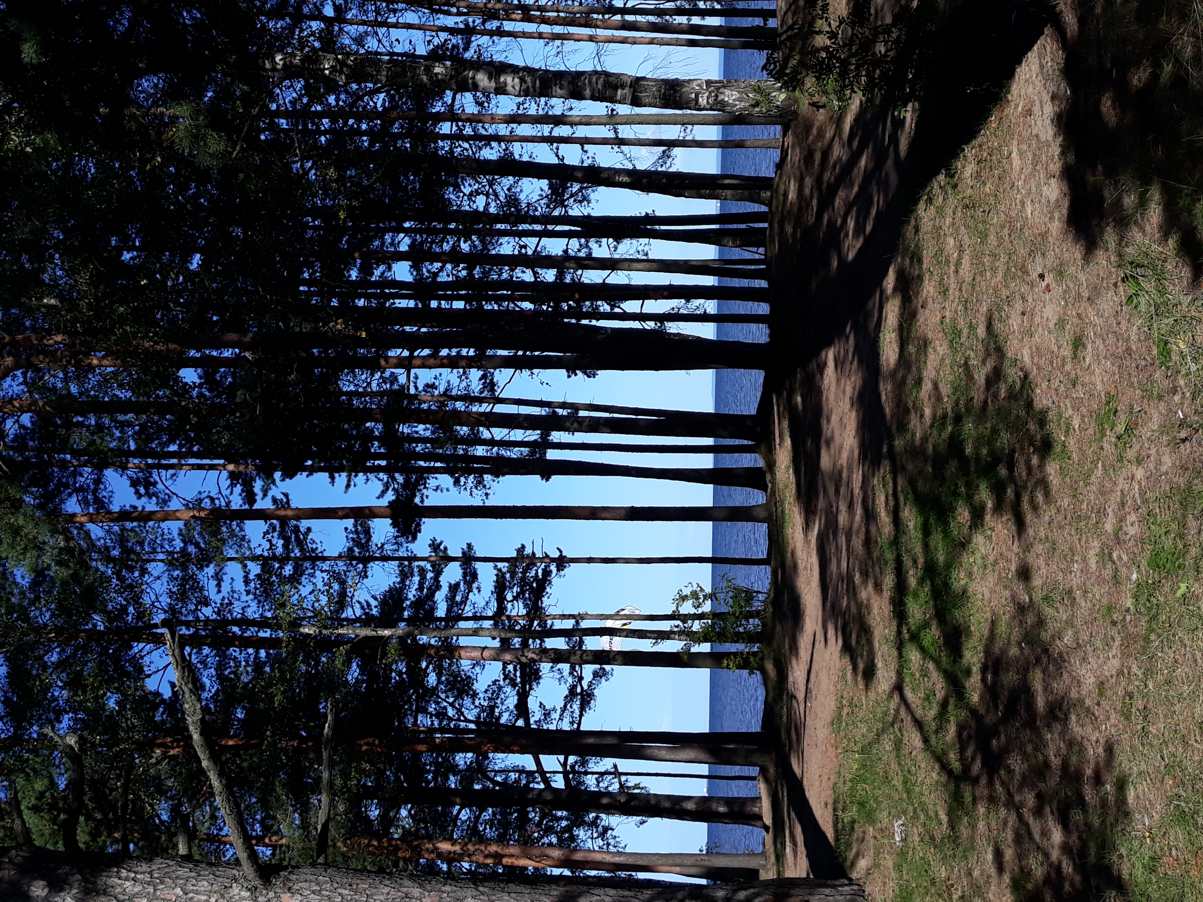 Фото Усадьба Заповедная