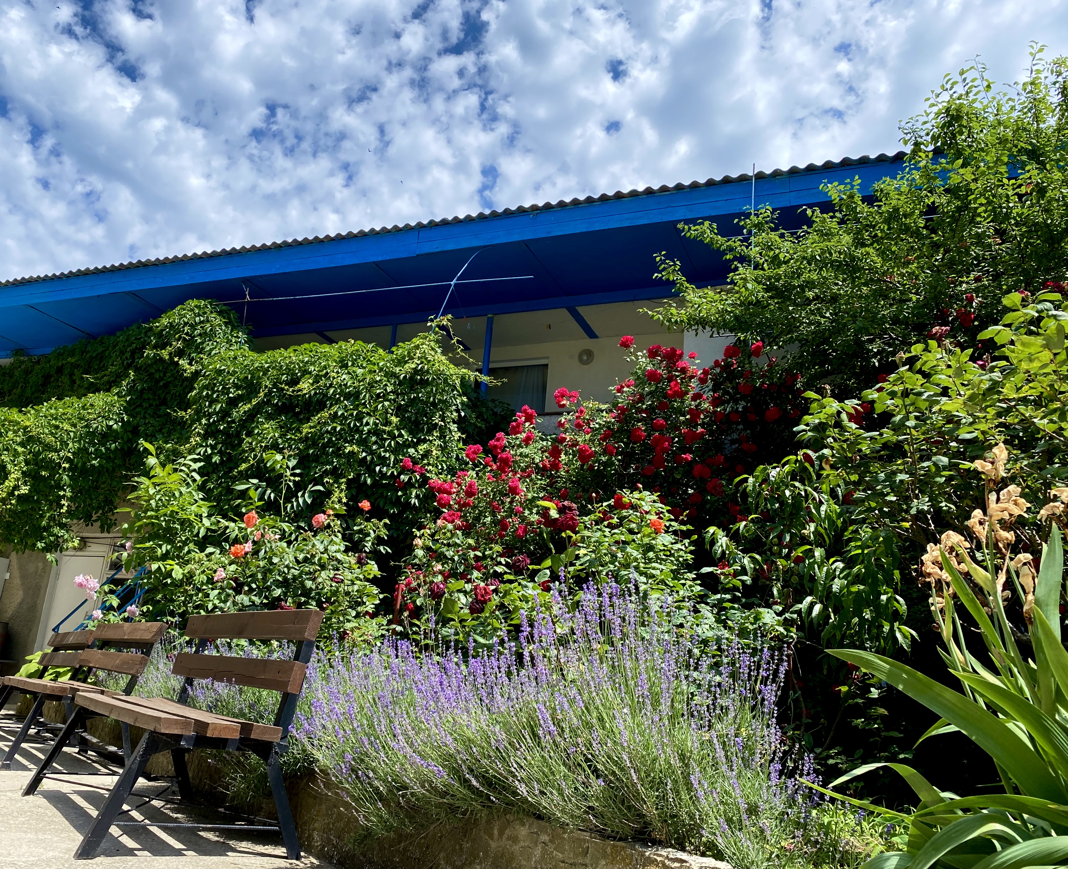 Фото Primorskiy Resort