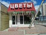 Magazin tsvetov Jasmin (Sovetskiy City Administrative District, Akademgorodok Microdistrict, Ivanova Street, 29), flower shop
