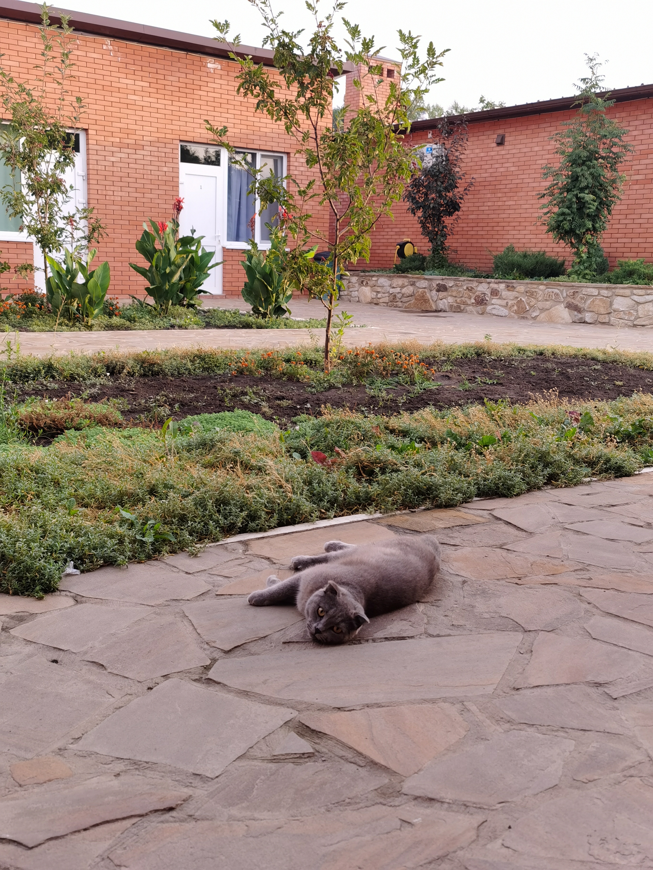 Фото Тихий Дон