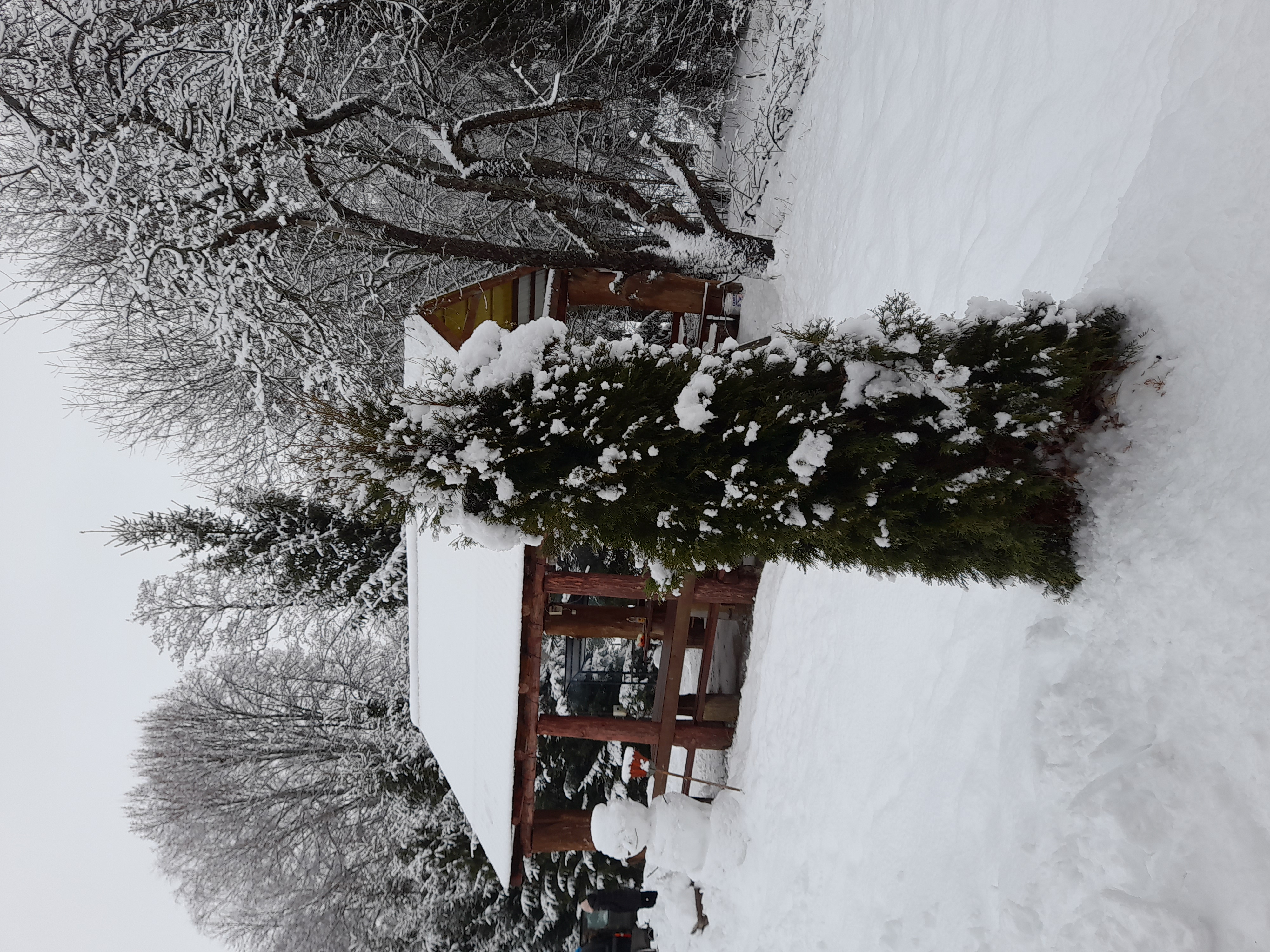 Фото Русские просторы