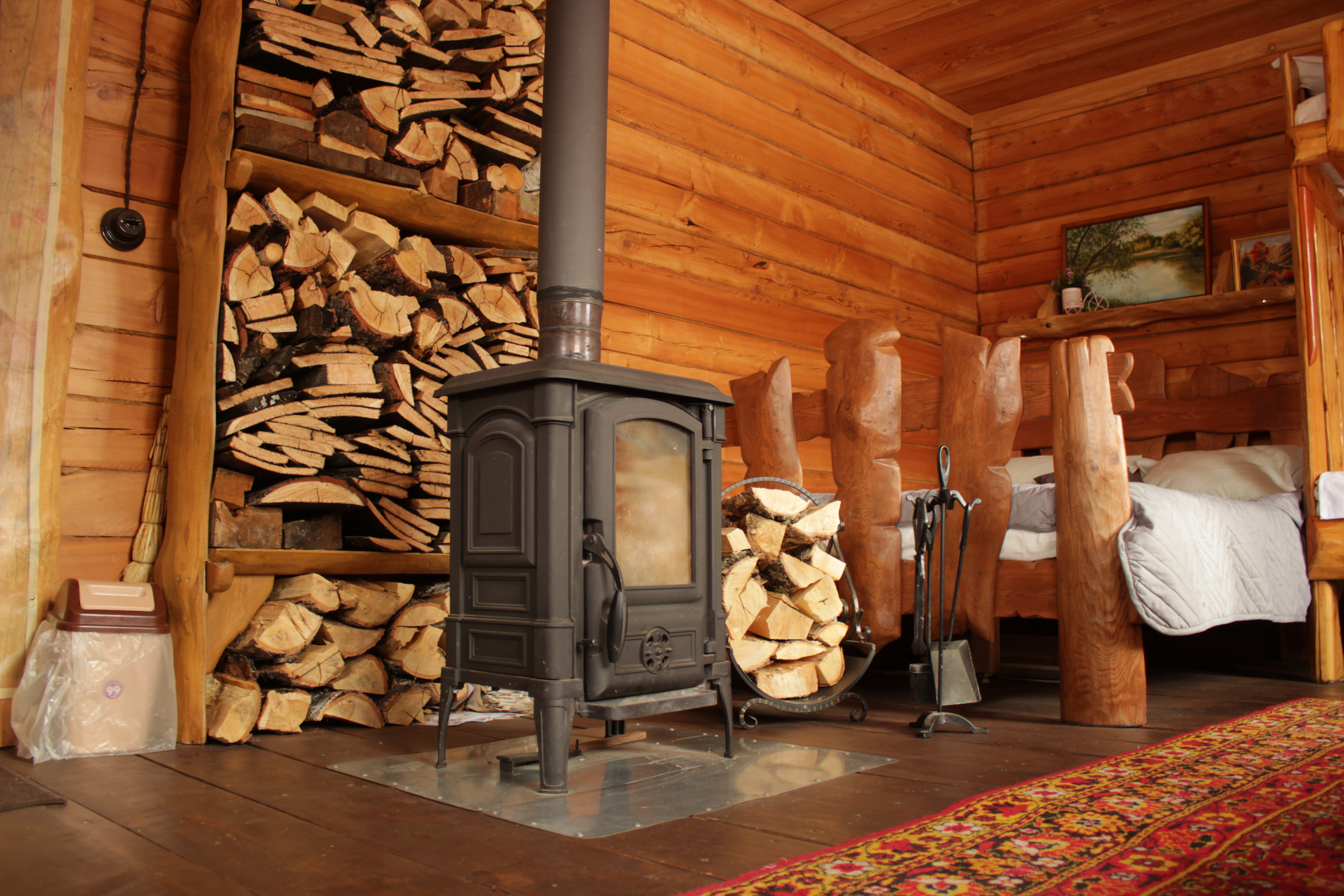 Фото Медуница