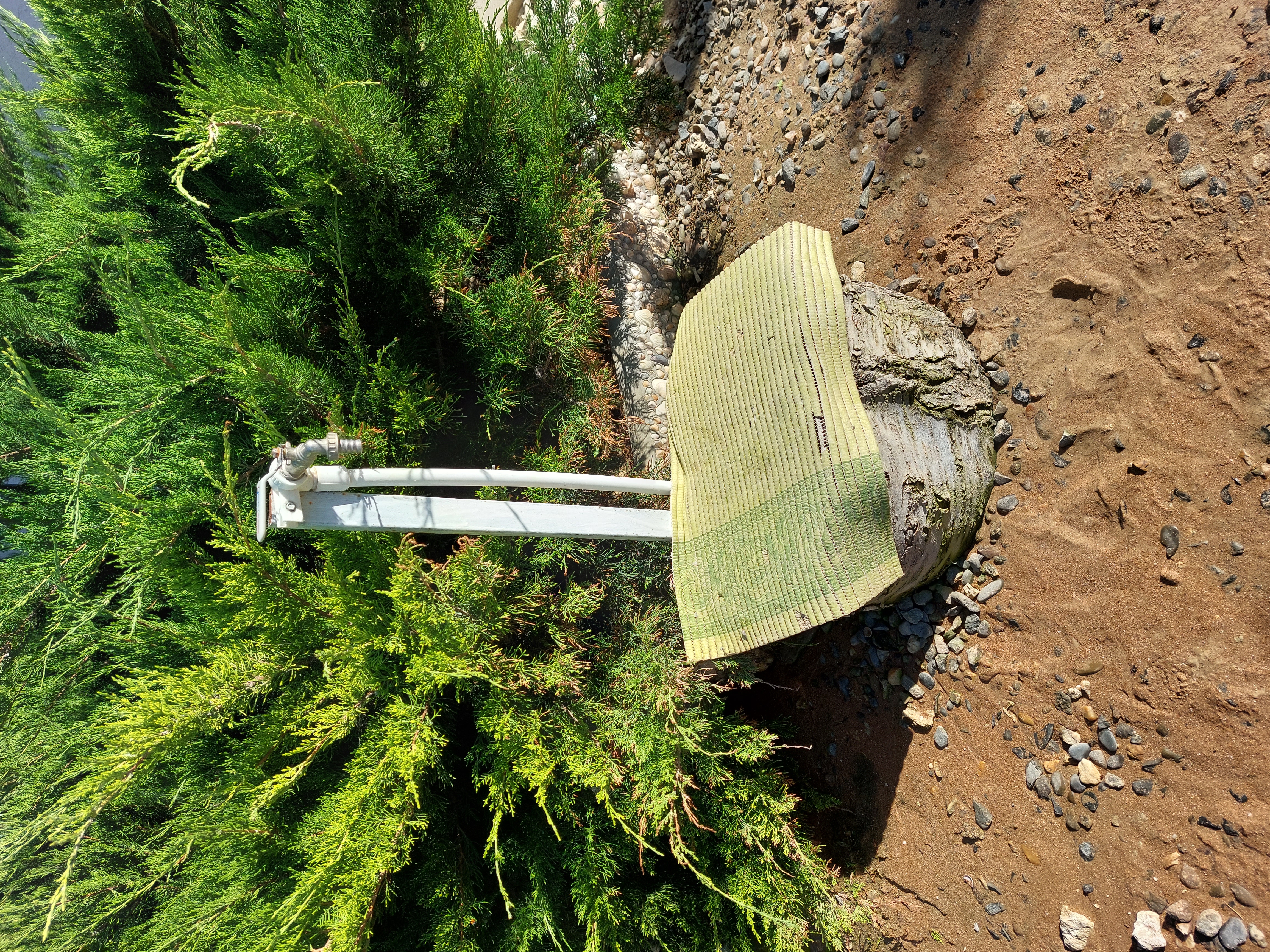 Фото Вилла SiTi