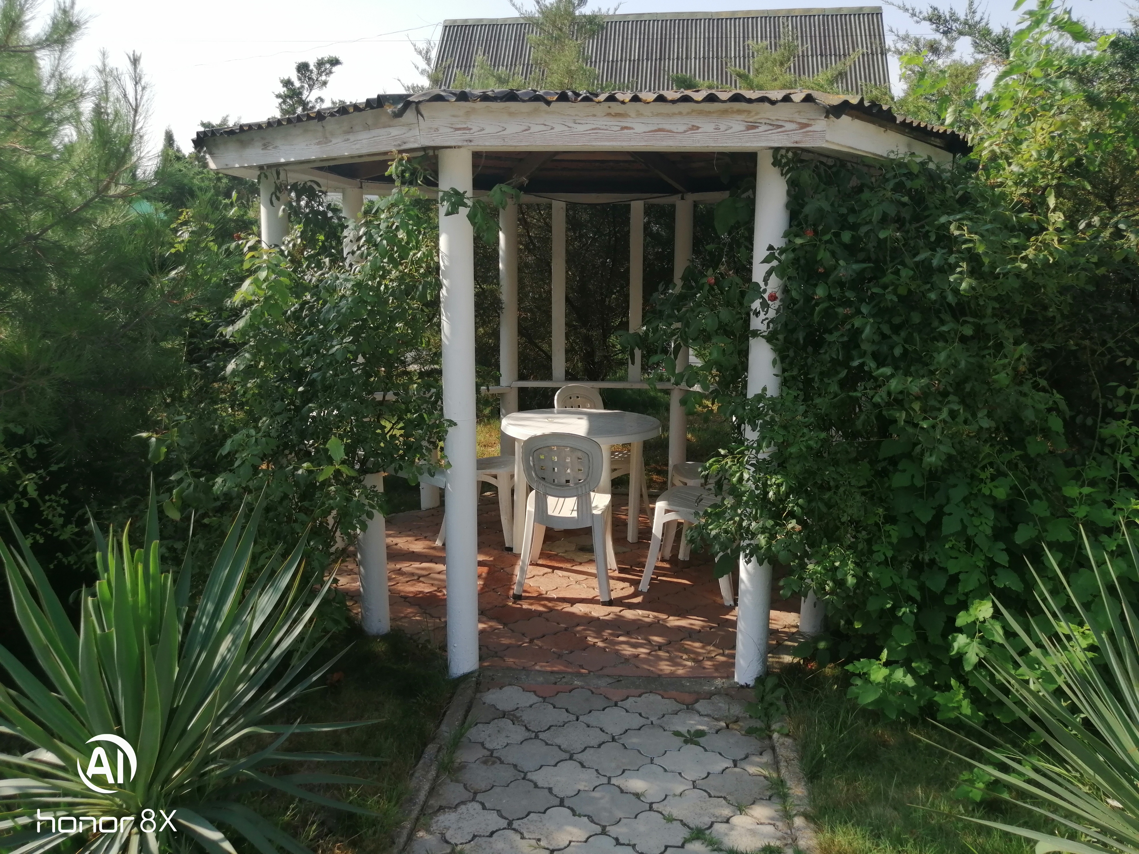 Фото Дружба