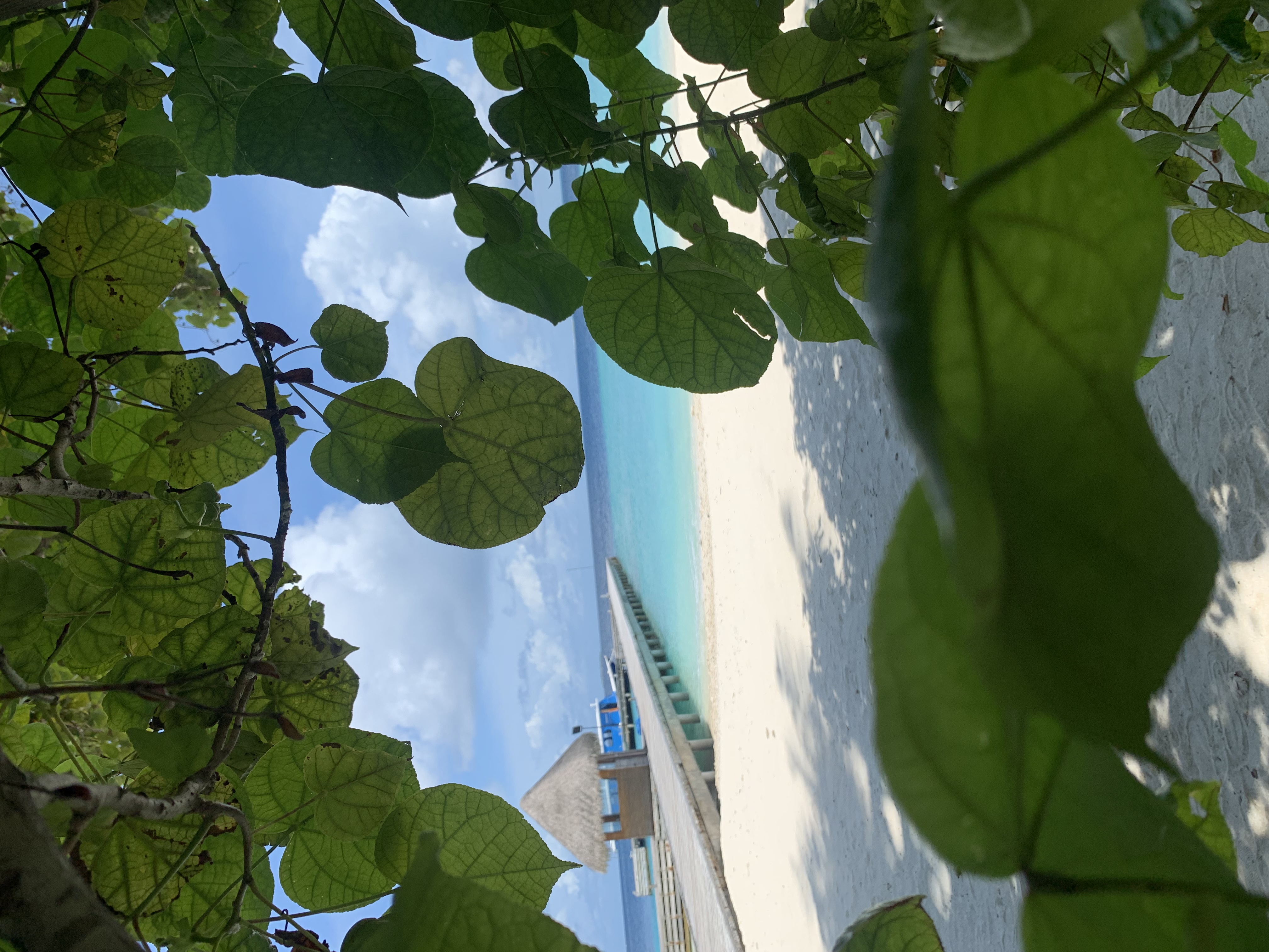 Фото Fihalhohi Maldives